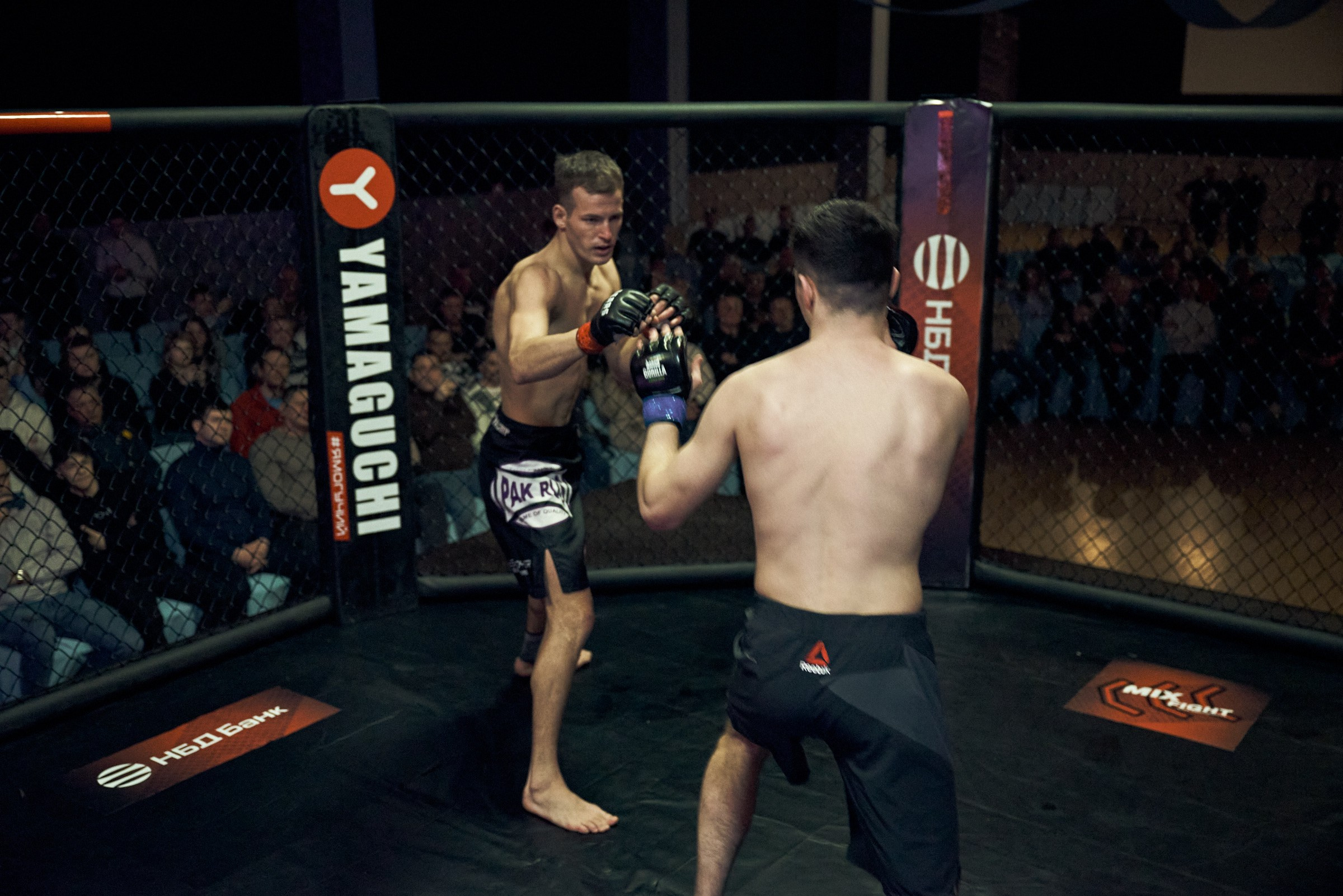 Бои. Маляревич Дмитрий свадебный фотограф