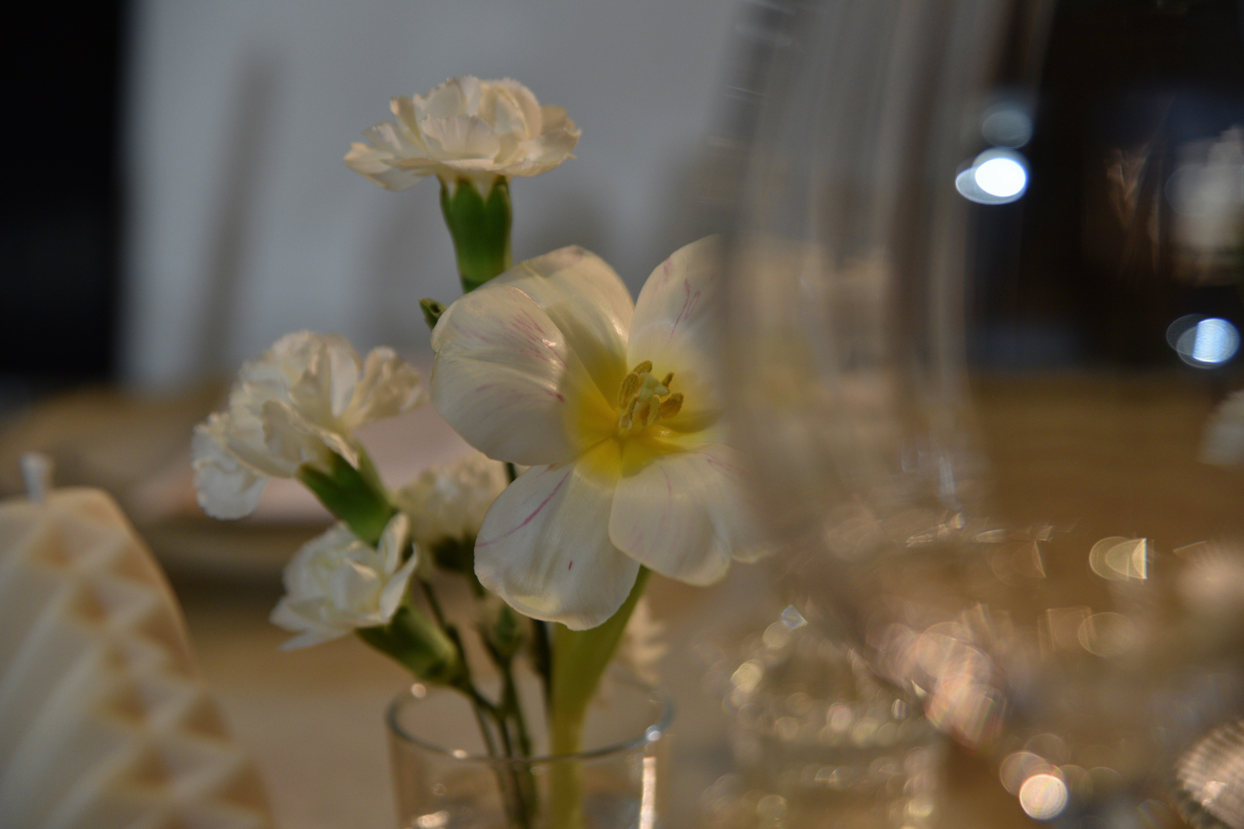 Евгений и Елизавета. Свадебный и портретный фотограф