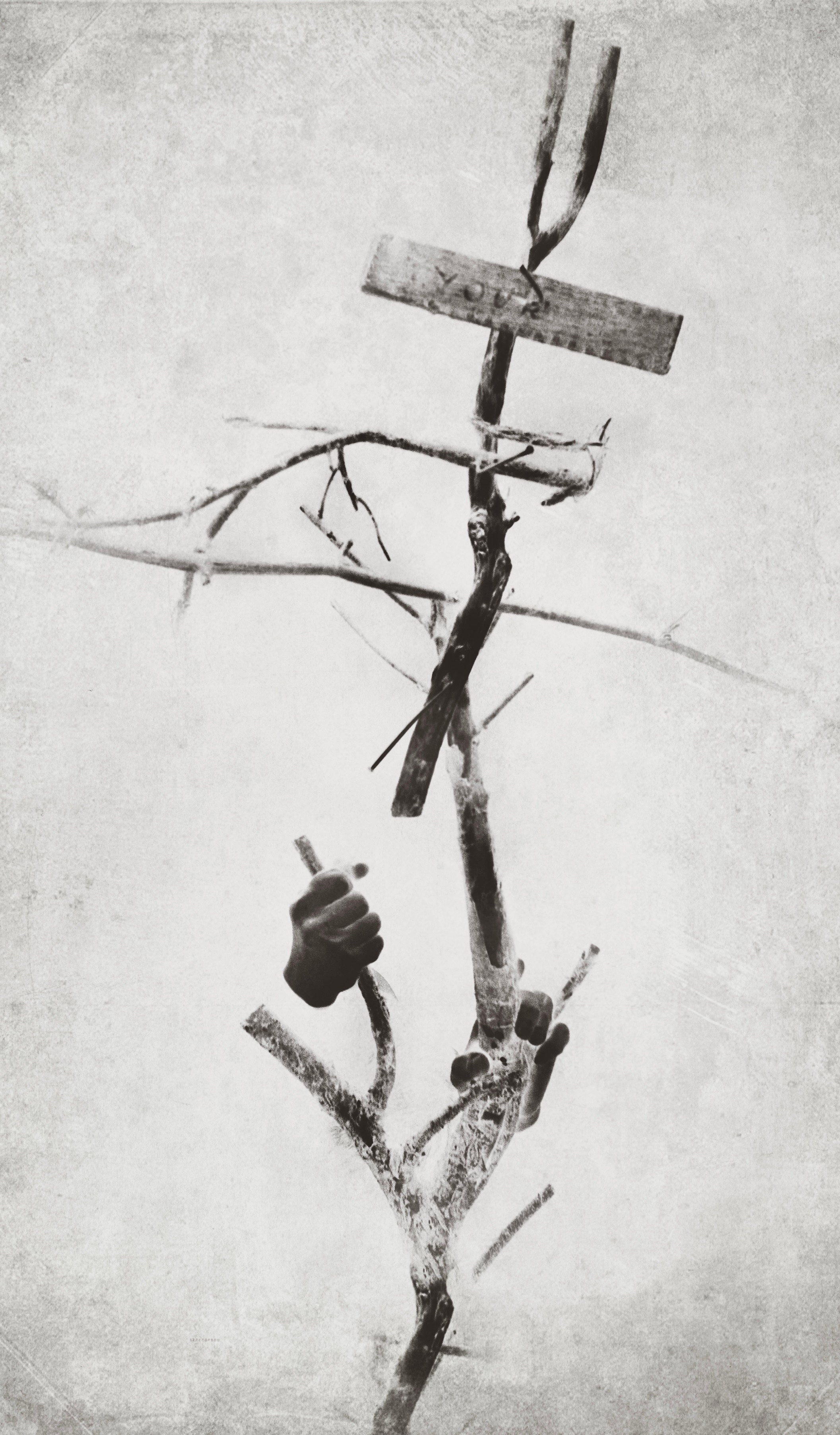 Photo artist Adomas Dombrauskas