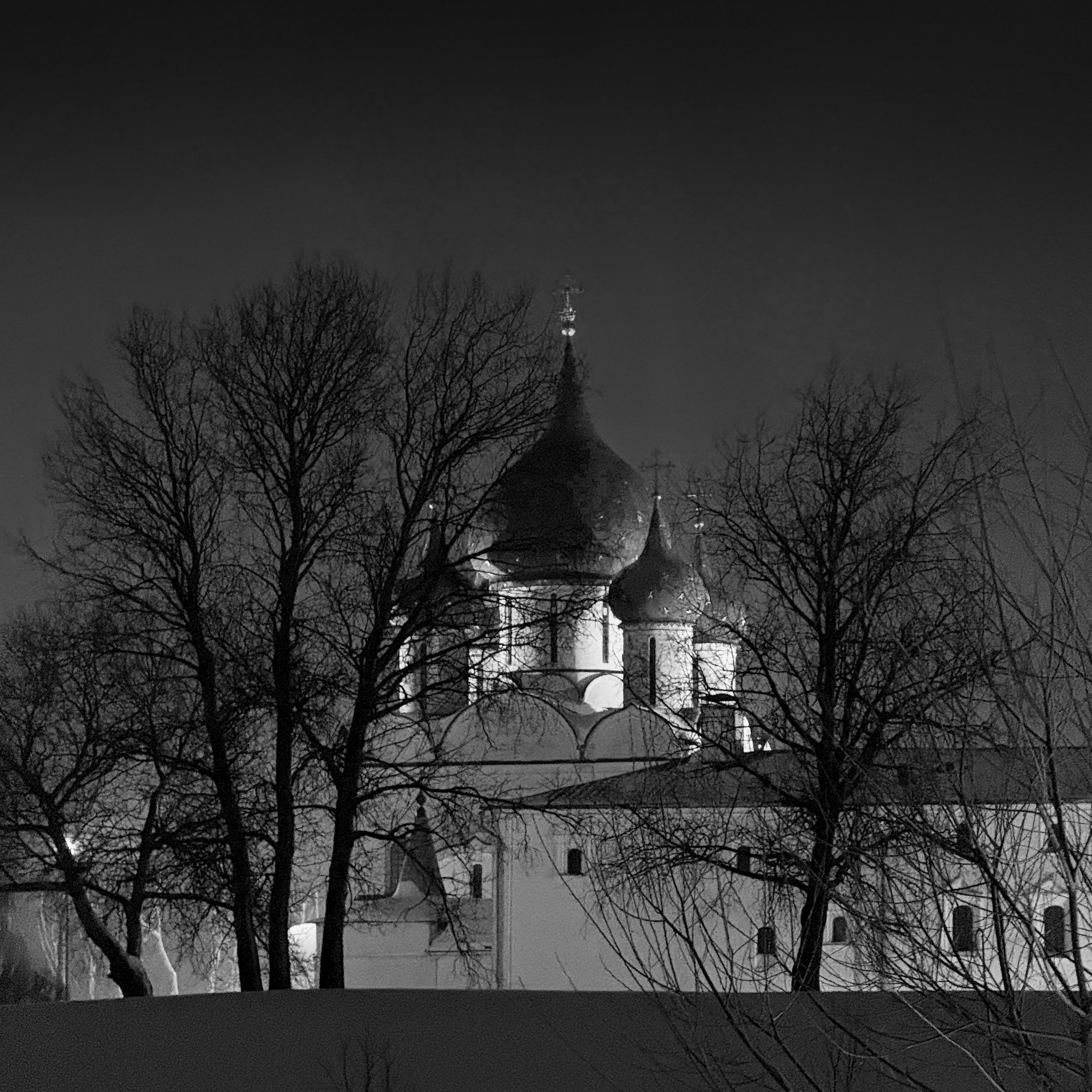 Суздаль (Владимирская область). Фотограф Мартыненко Дмитрий