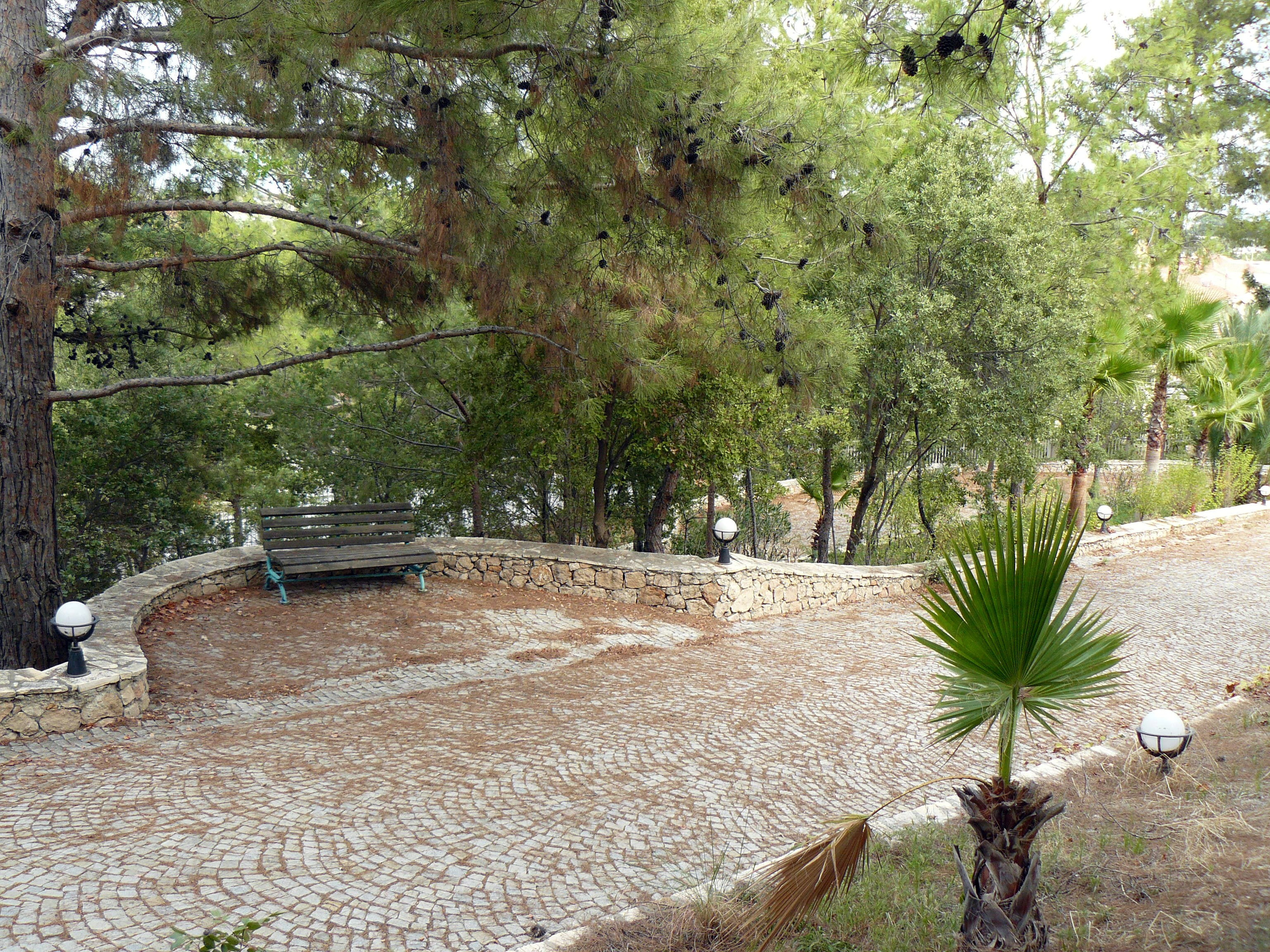 Кемер, Чамьюва 2008. Избранные фотографии