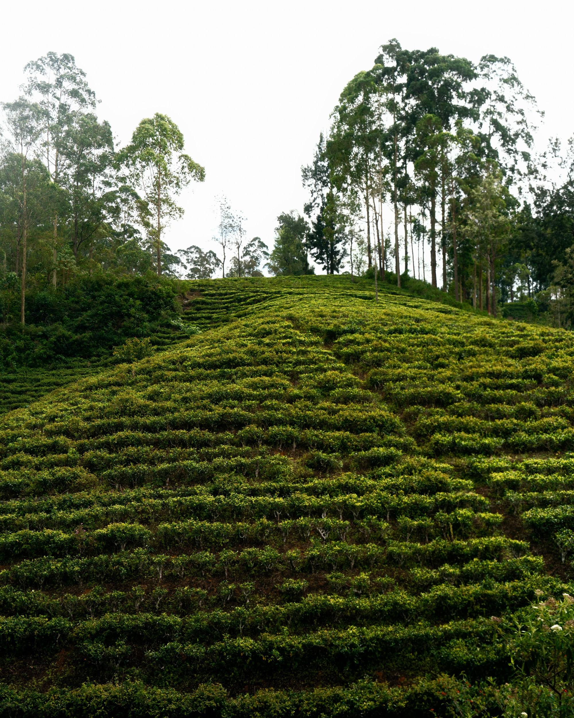 Ktokuda. Фотограф в Хабаровске. Фотография за 24 часа