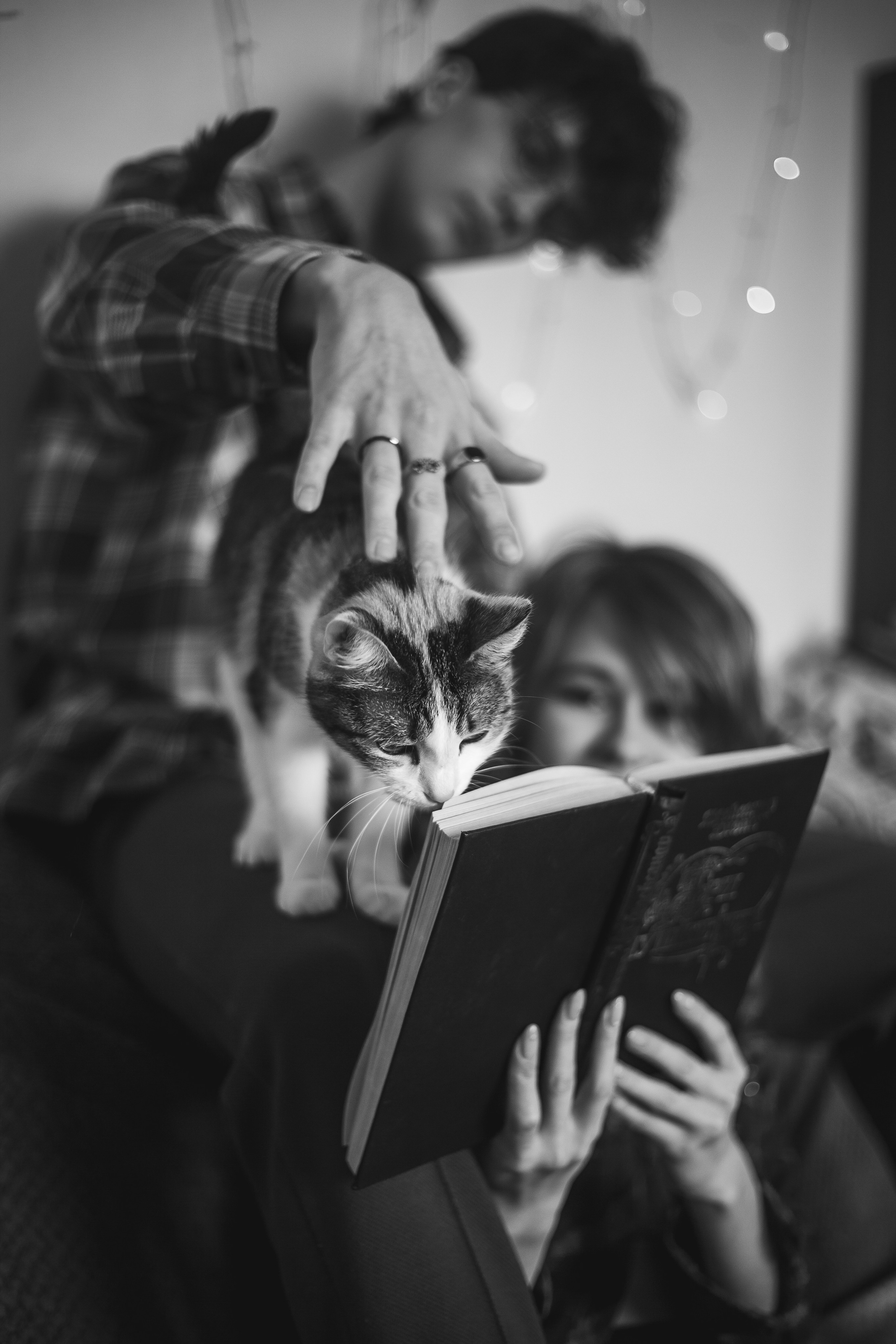 Жан и Катя. Свадебный и портретный фотограф в Красноярске Алина Семенихина