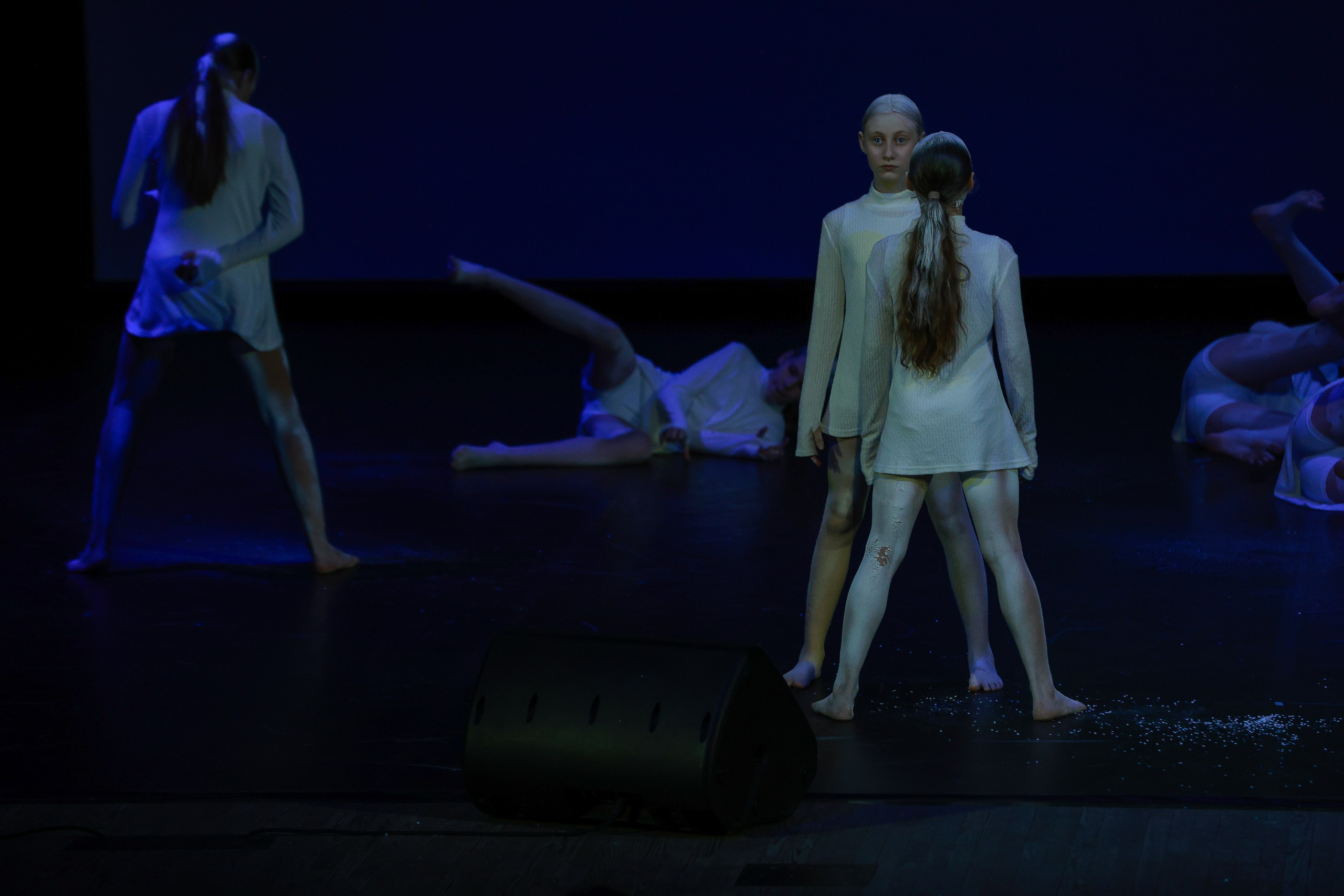 Небесные ласточки на Танц ЭКСПО 2026. Фотограф Юлия Мальцева