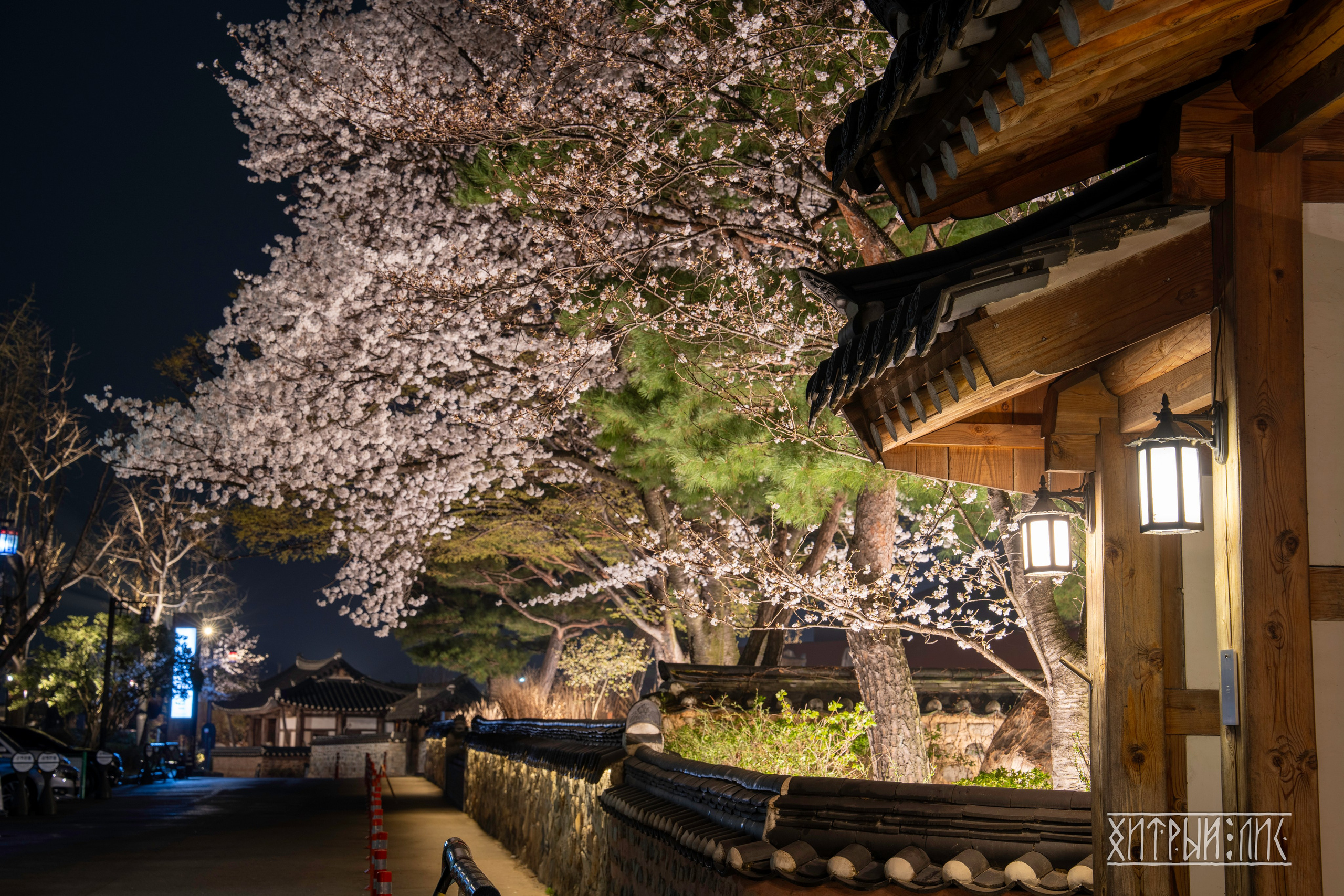 Южная Корея. Фотограф-путешественник Самойлов Максим «Sly Fox»