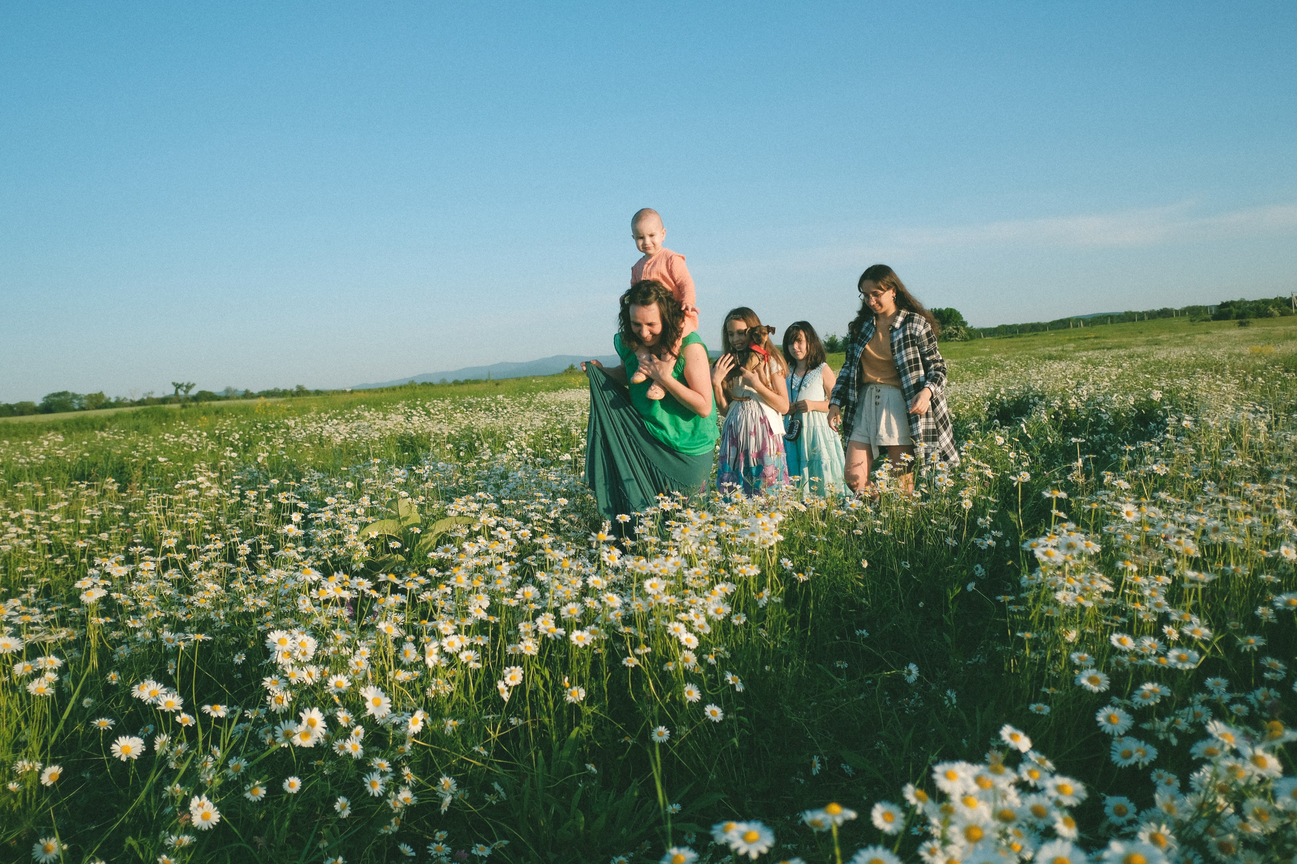 Ждановы в ромашках. Женский и семейный фотограф в Краснодаре и крае Таня Мустафина