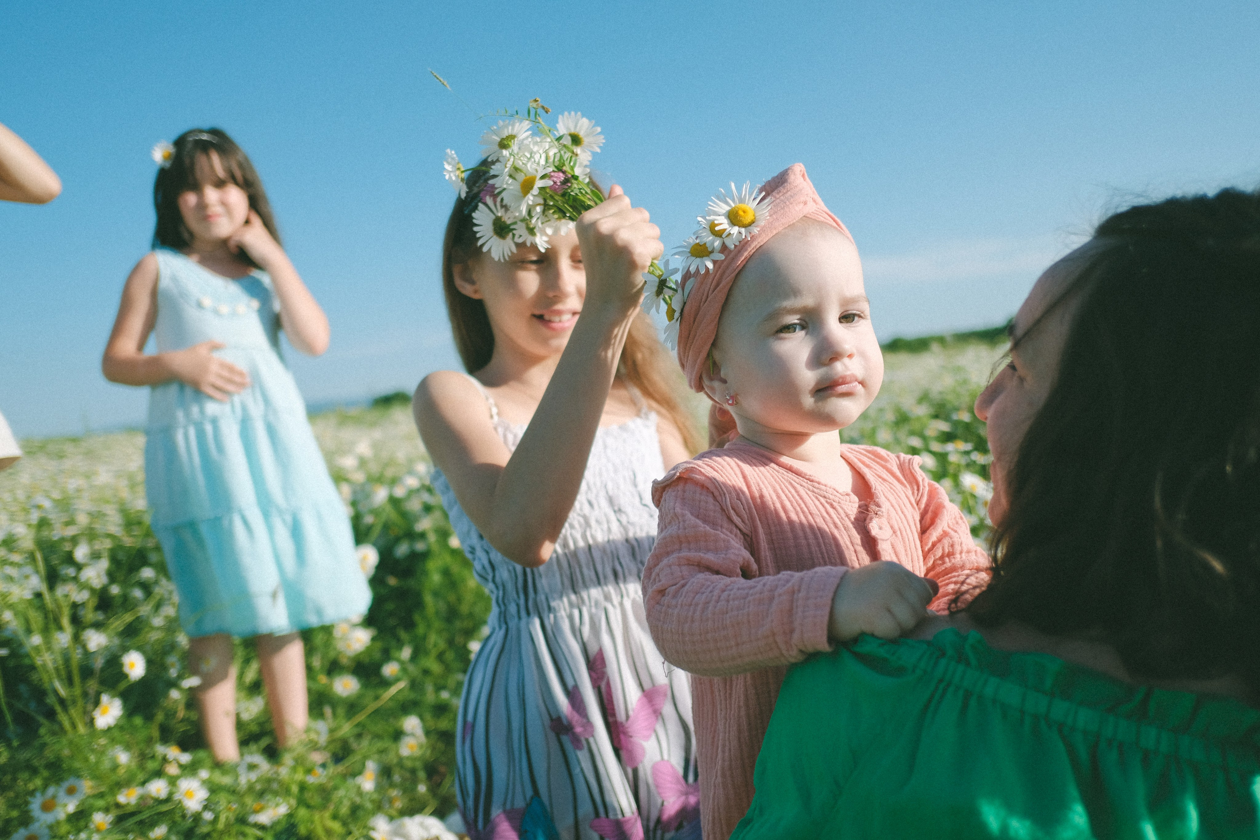 Ждановы в ромашках. Женский и семейный фотограф в Краснодаре и крае Таня Мустафина