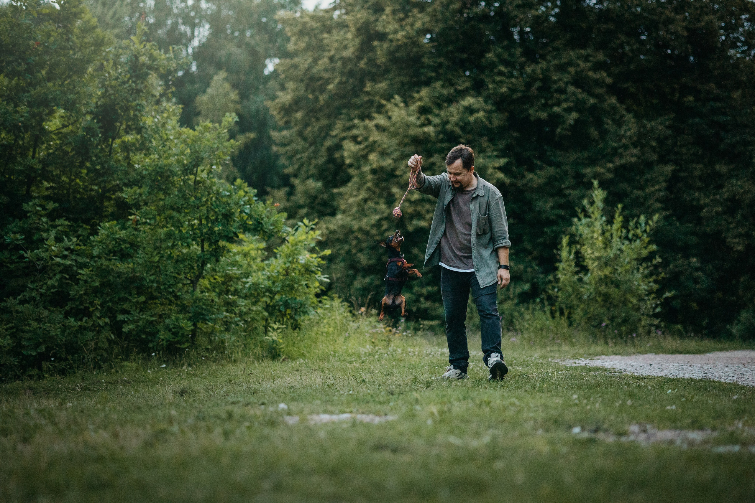 Сириус и его семья. Фотограф — Анималист | Санкт-Петербург