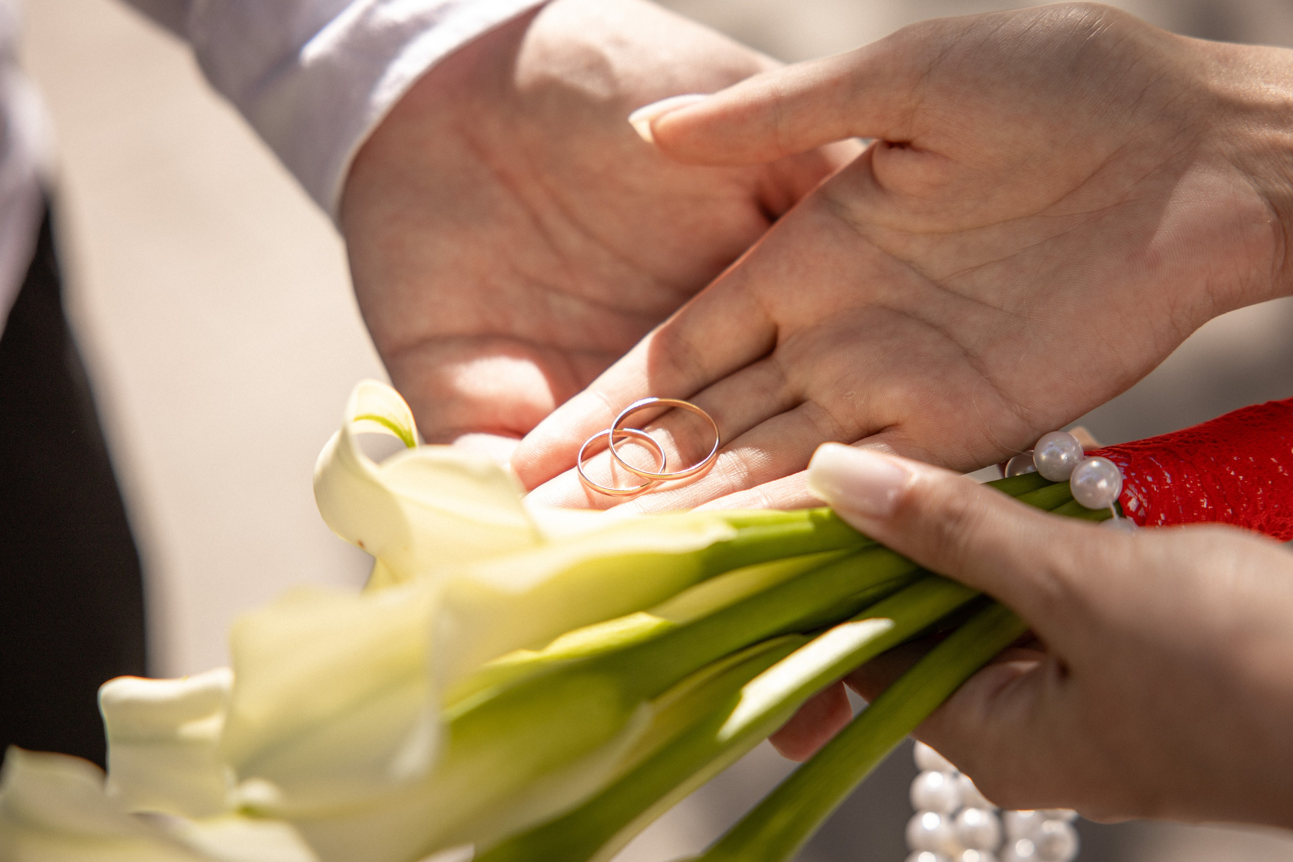 Петя и Ира 26.08.25. Семейный и свадебный фотограф в Геленджике Михаил Шматов