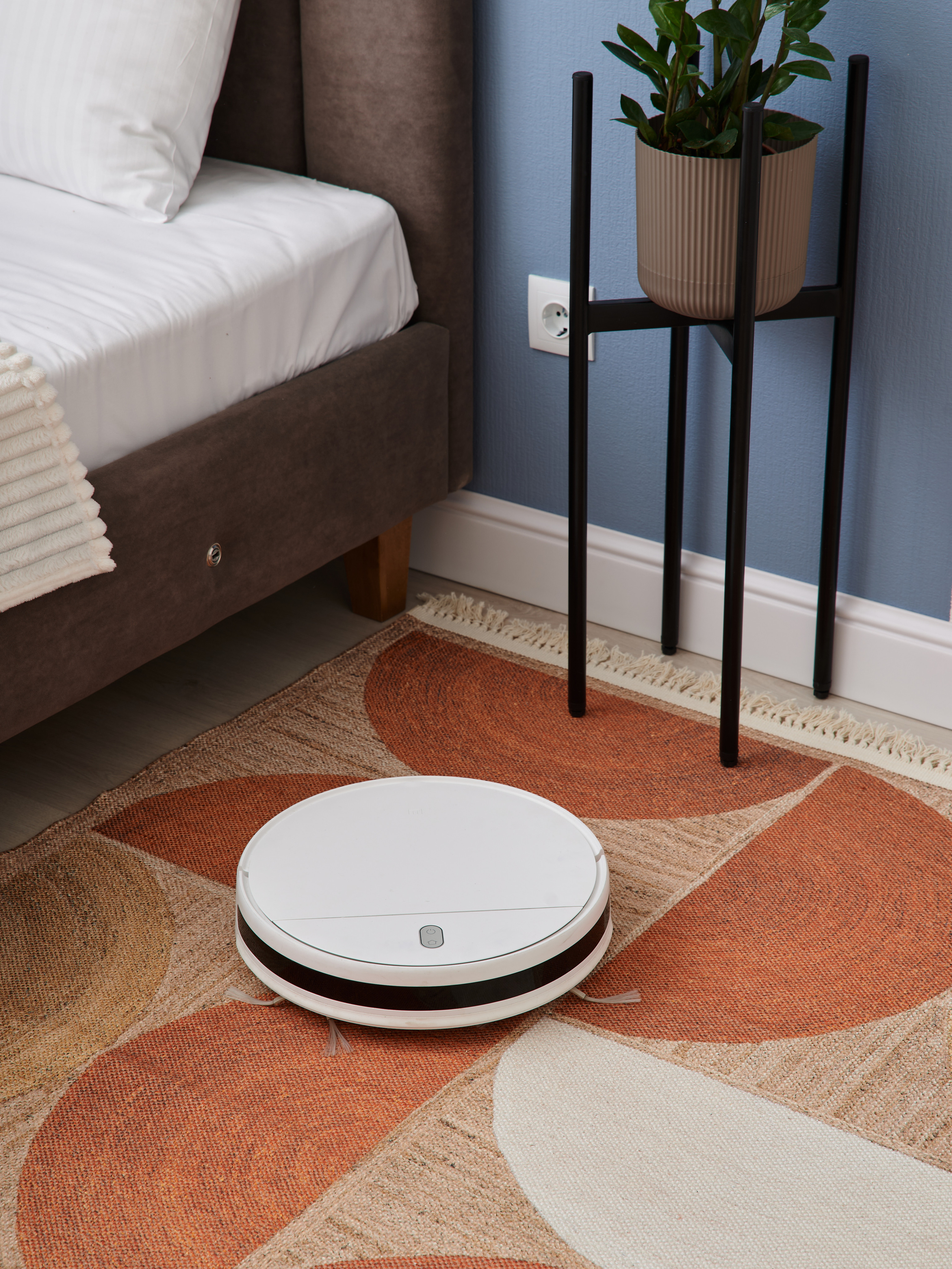 Eco Lares. Фотограф в Санкт-Петербурге модельные тесты каталоги бренды лук бук