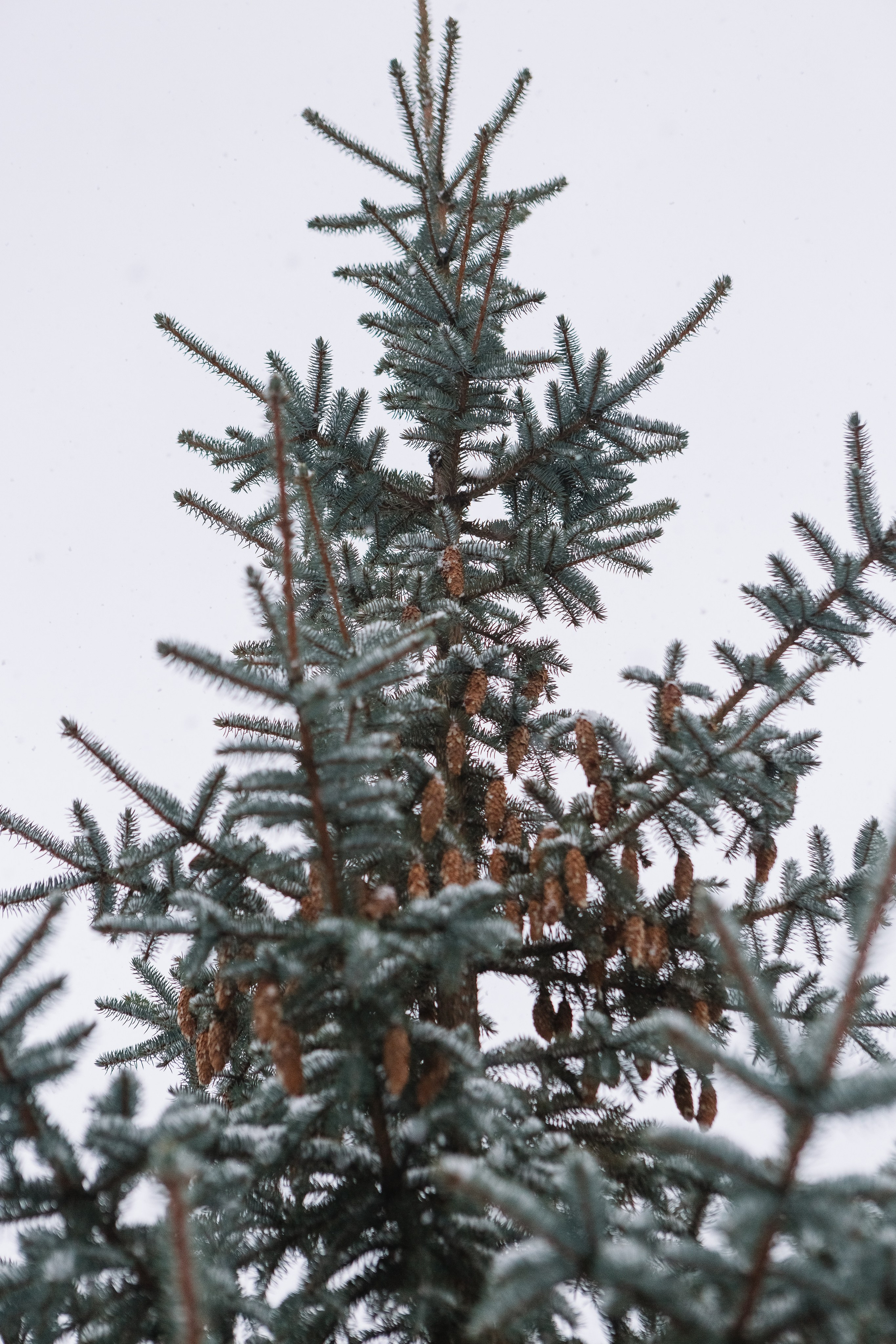 Татьяна. Семейный и портретный фотограф в Санкт-Петербурге