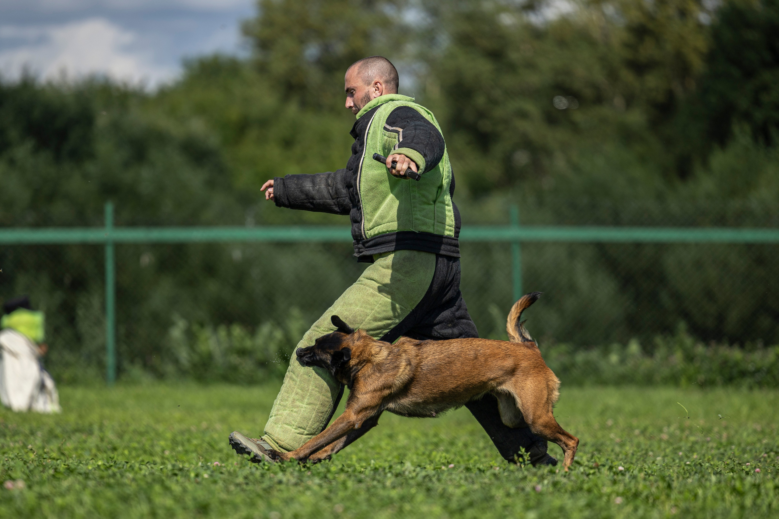 Соревнования по Мондьорингу г. Вологда 10-11.08.2024. Фотограф-анималист Анна Маринич