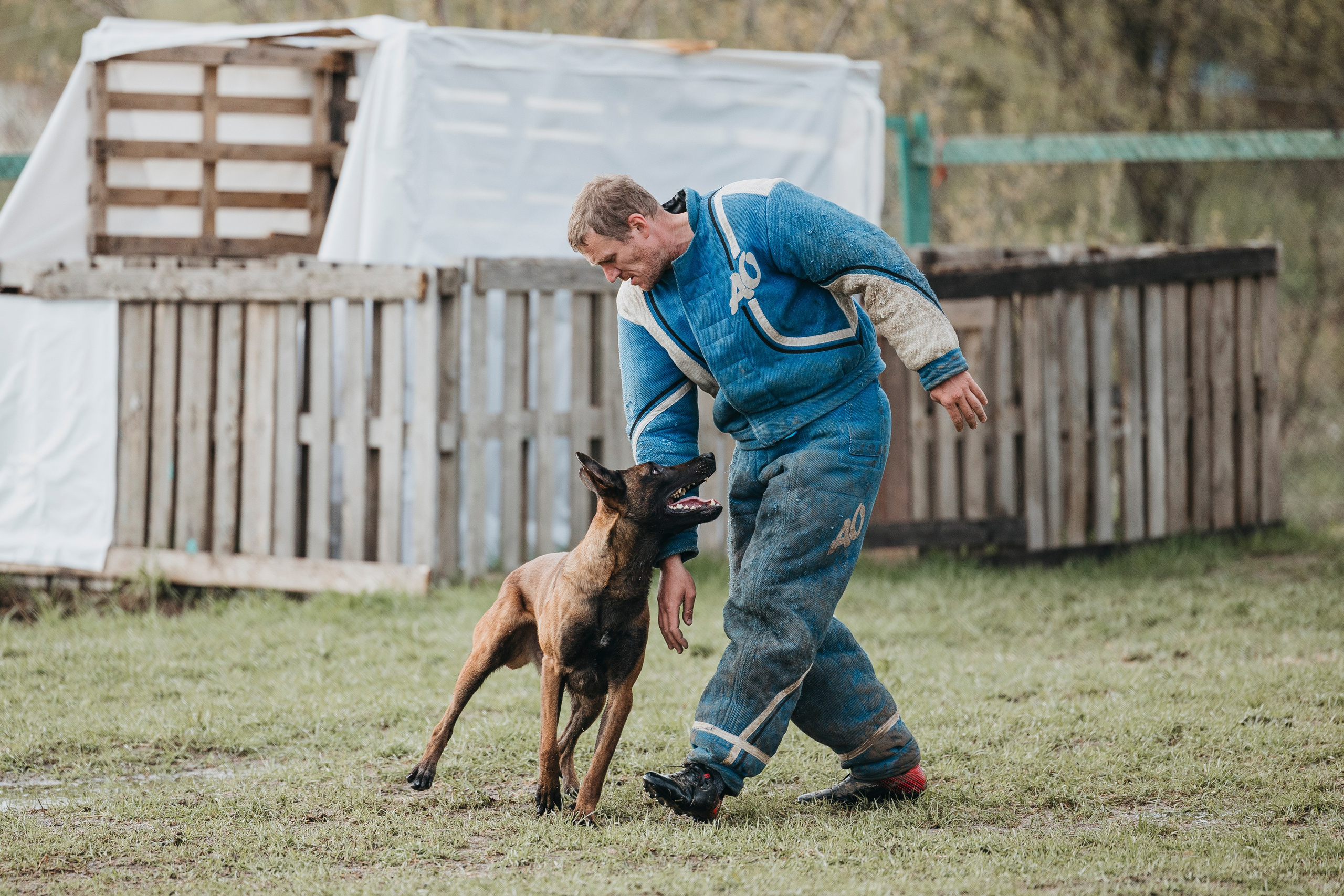 09.05.25 Вологда соревнования. Фотограф-анималист Анна Маринич
