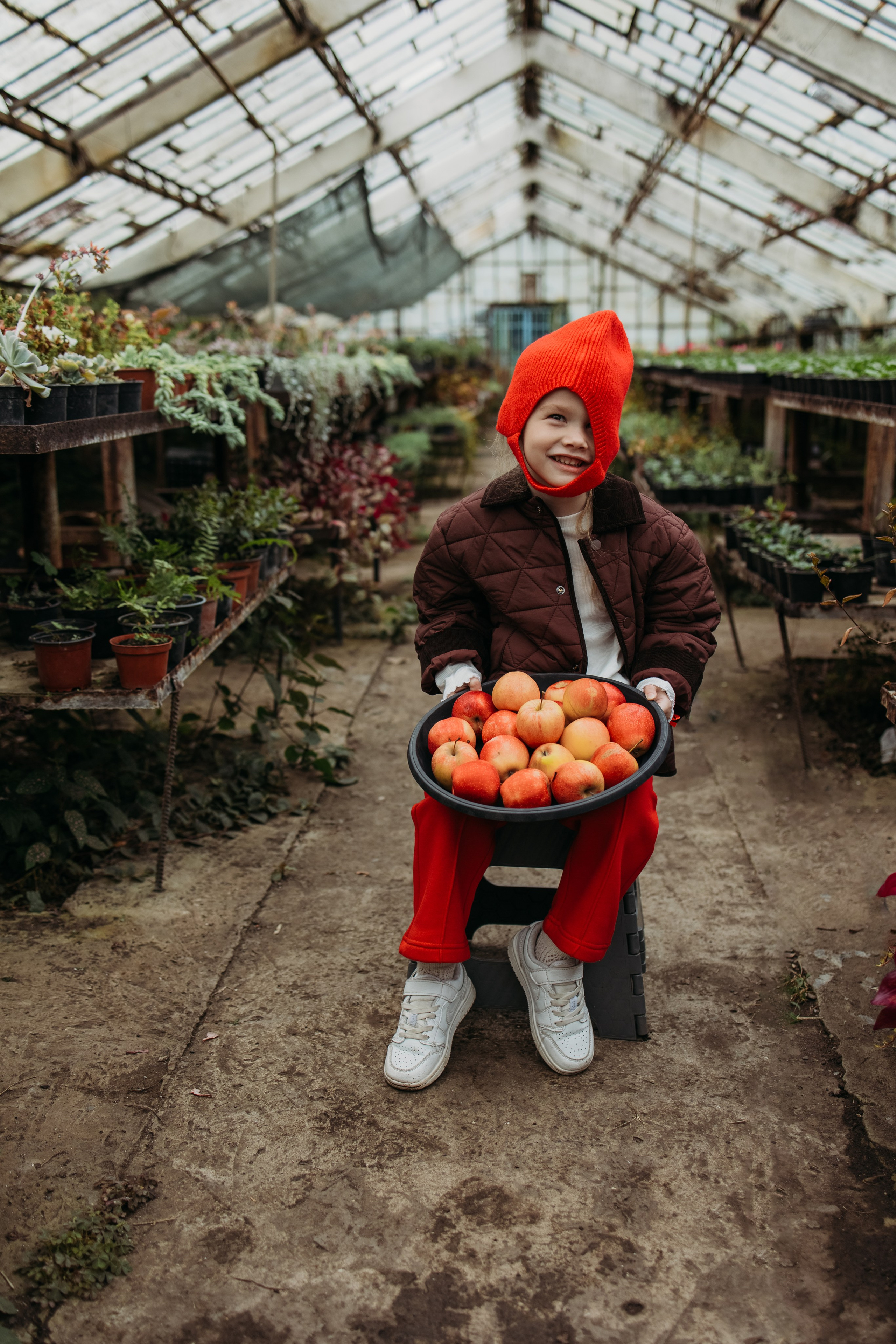 Теплица мацеста. Фотограф Сочи Татьяна Зорина