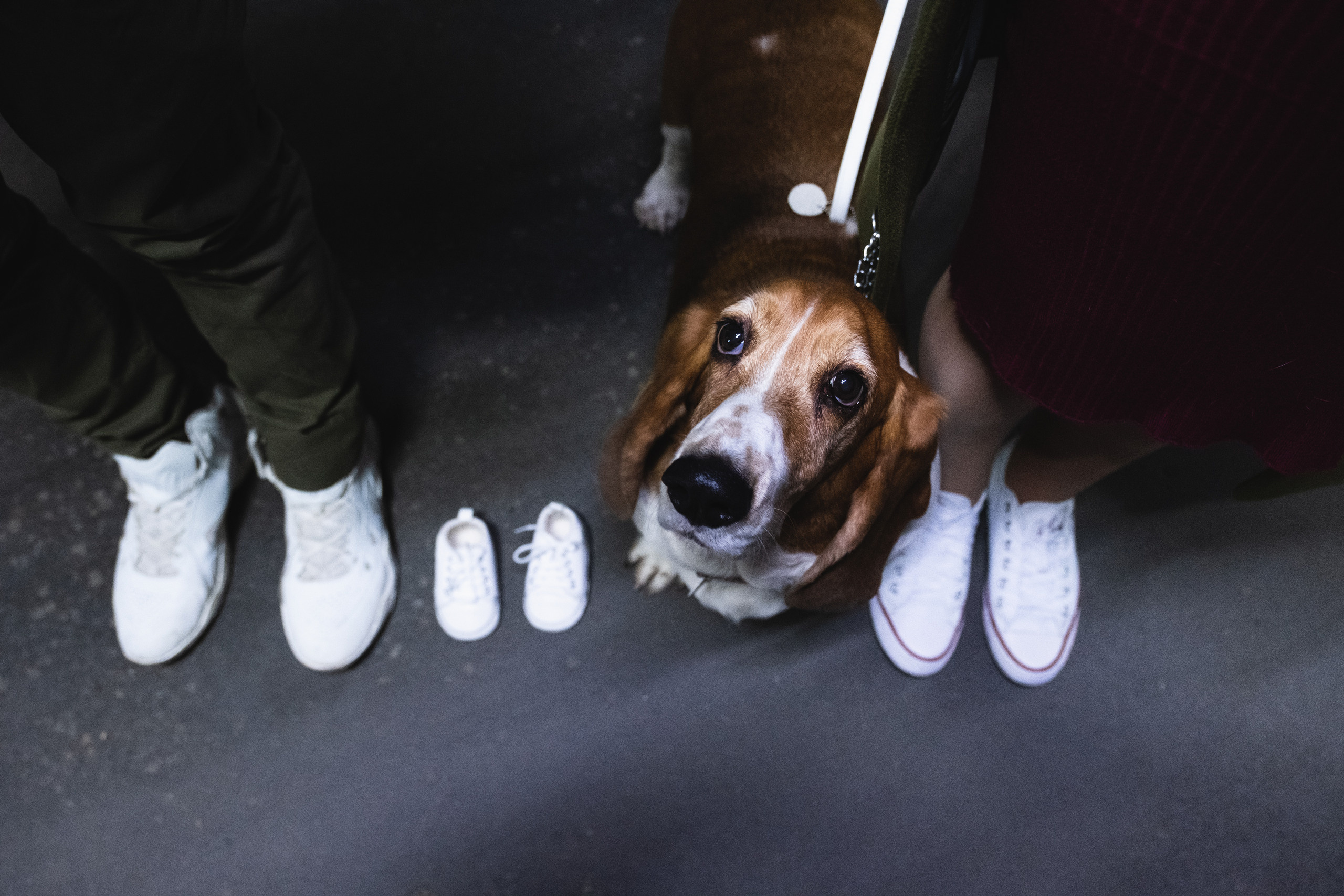 Городская фотосессия беременной. Семейный и свадебный фотограф в Ставрополе Заведеев Алексей