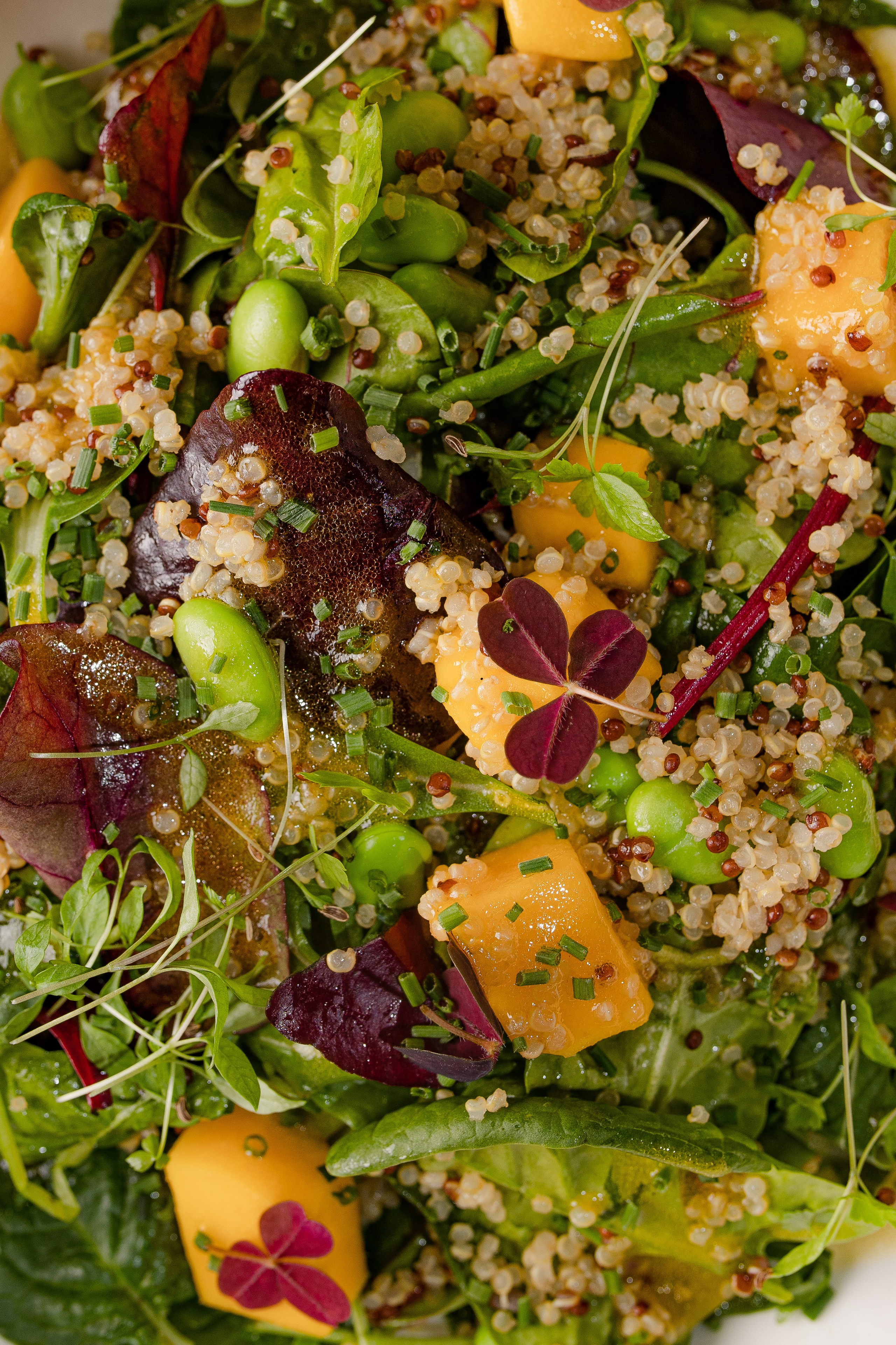 ПИФАГОР. Фотограф Агеева Мария