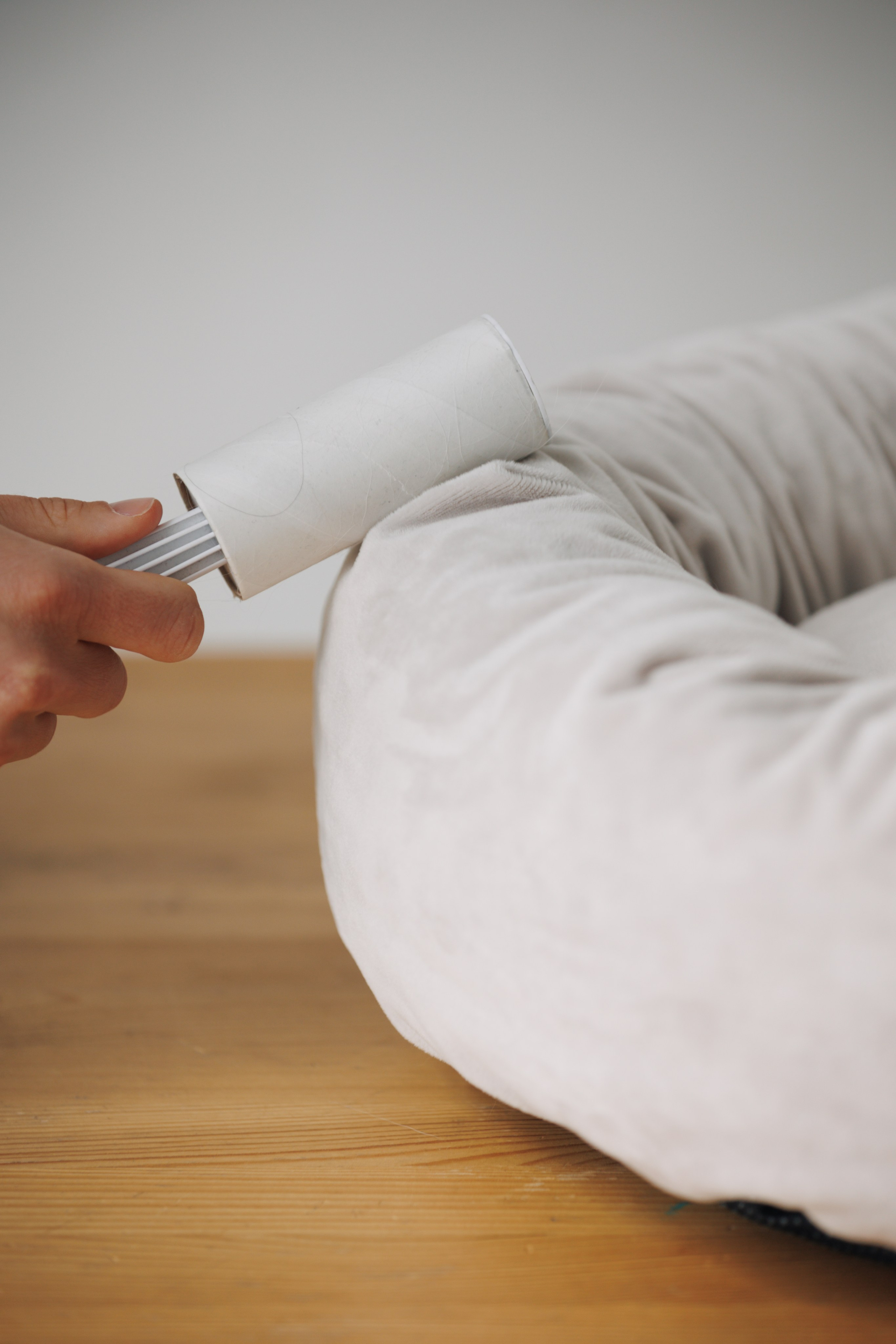 OH MY DOGA. Фотограф анималист Кристина Карпова, Москва