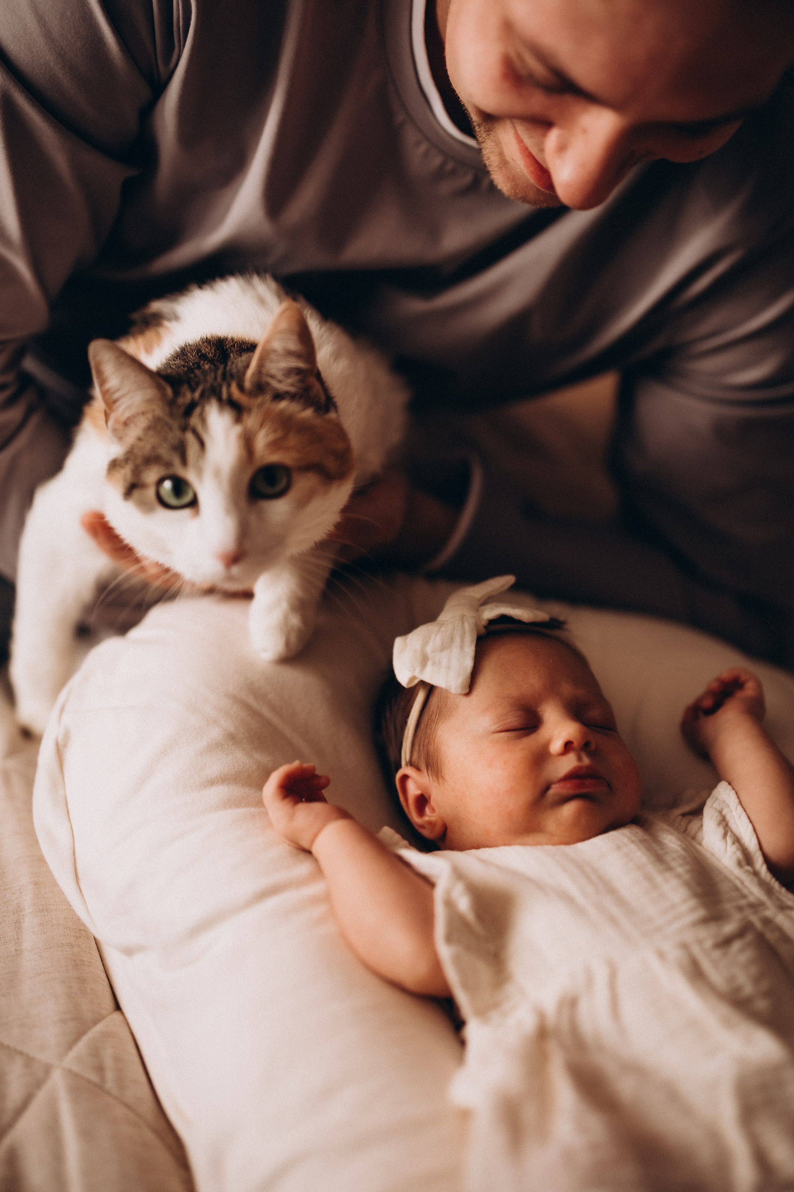 Василиса. Евгения Пелипас