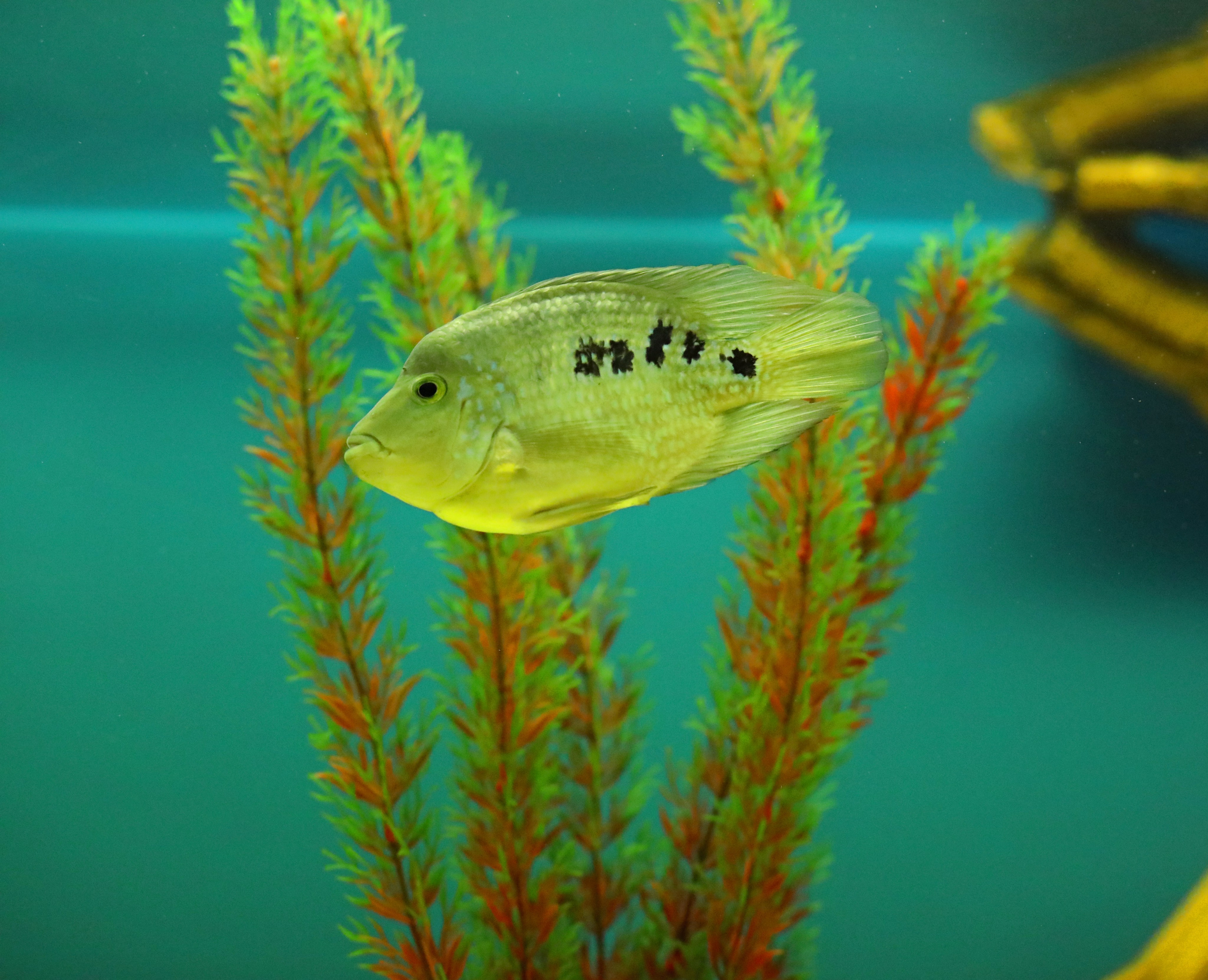 Ростовский зоопарк. Фото-художник и Репортажный фотограф Николаев Александр Алексеевич