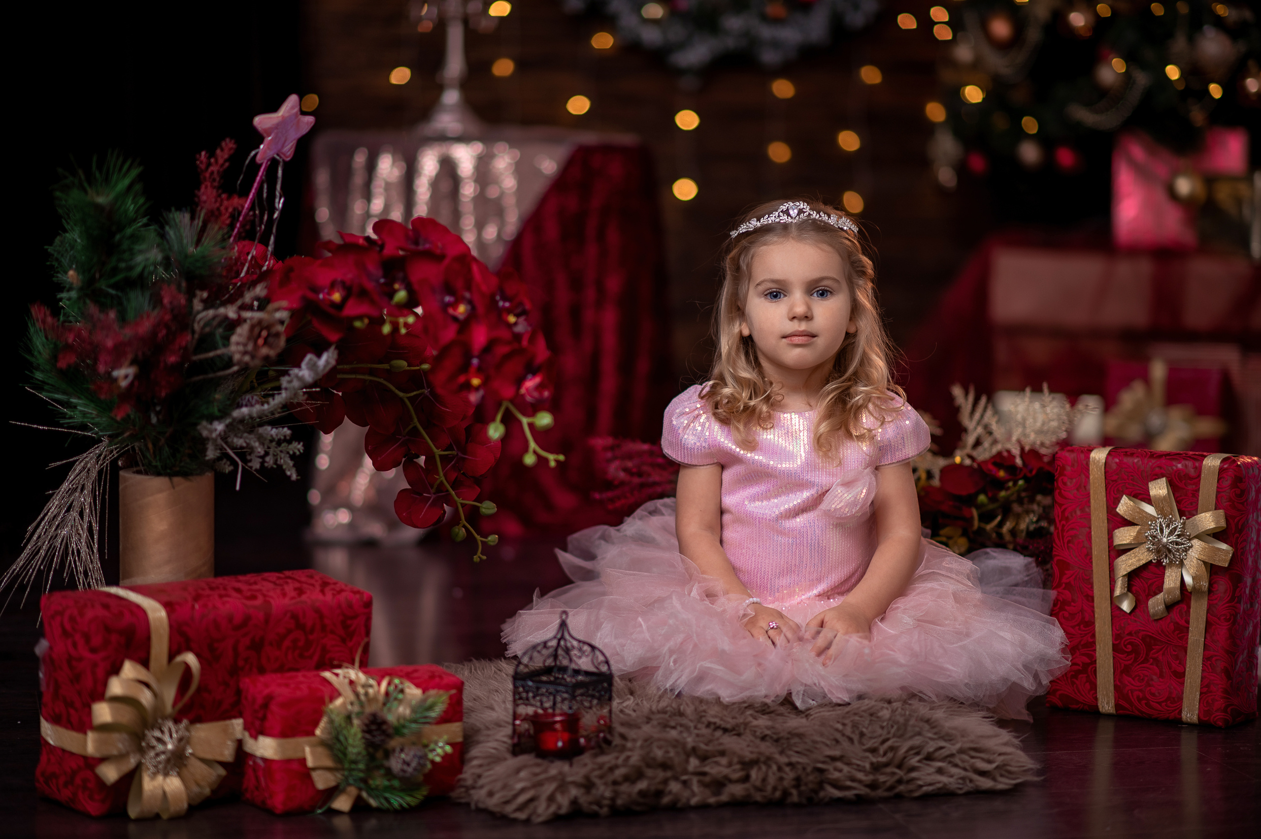 Новогоднее настроение. Свадебный и семейный фотограф и видеограф, Крым, Москва, Санкт -Петербург