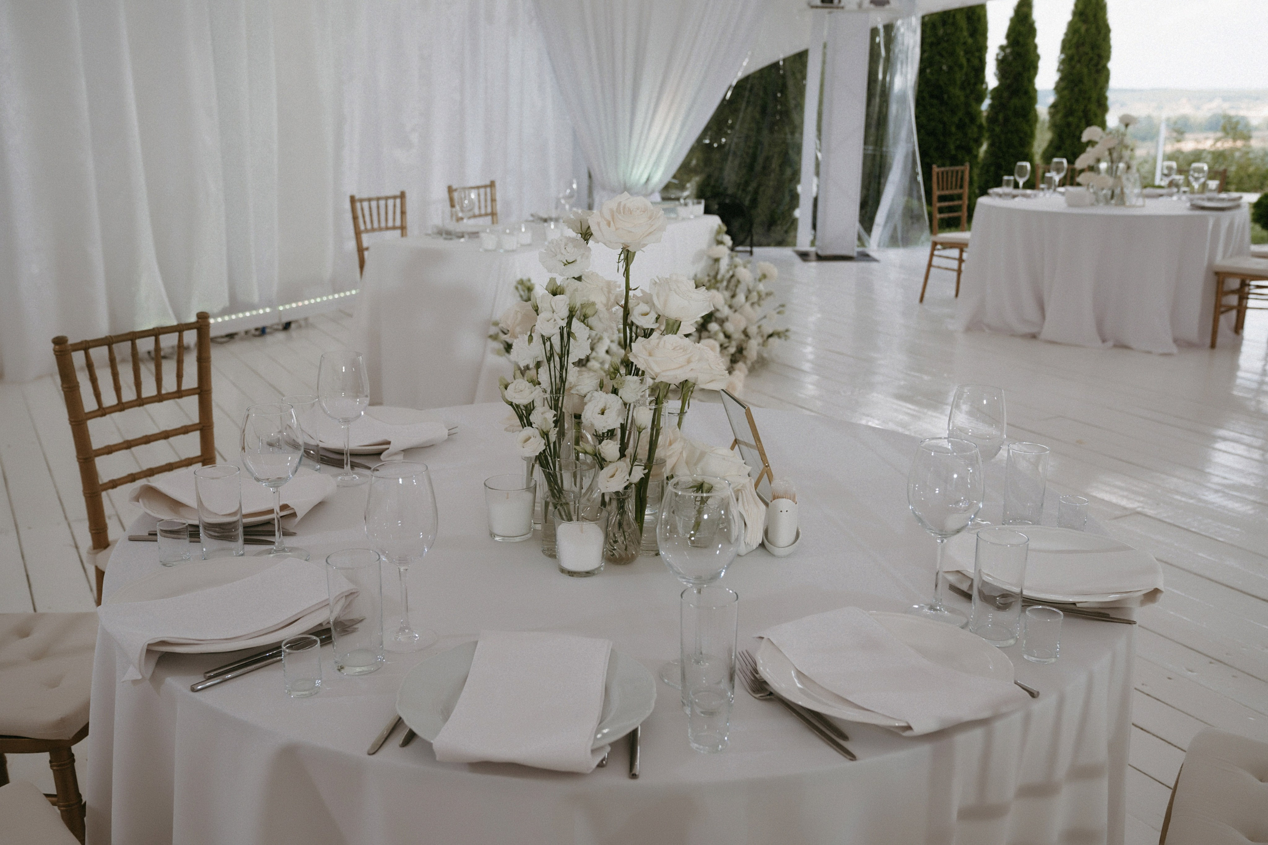 4/08/23. Фотограф Наталья Шелест