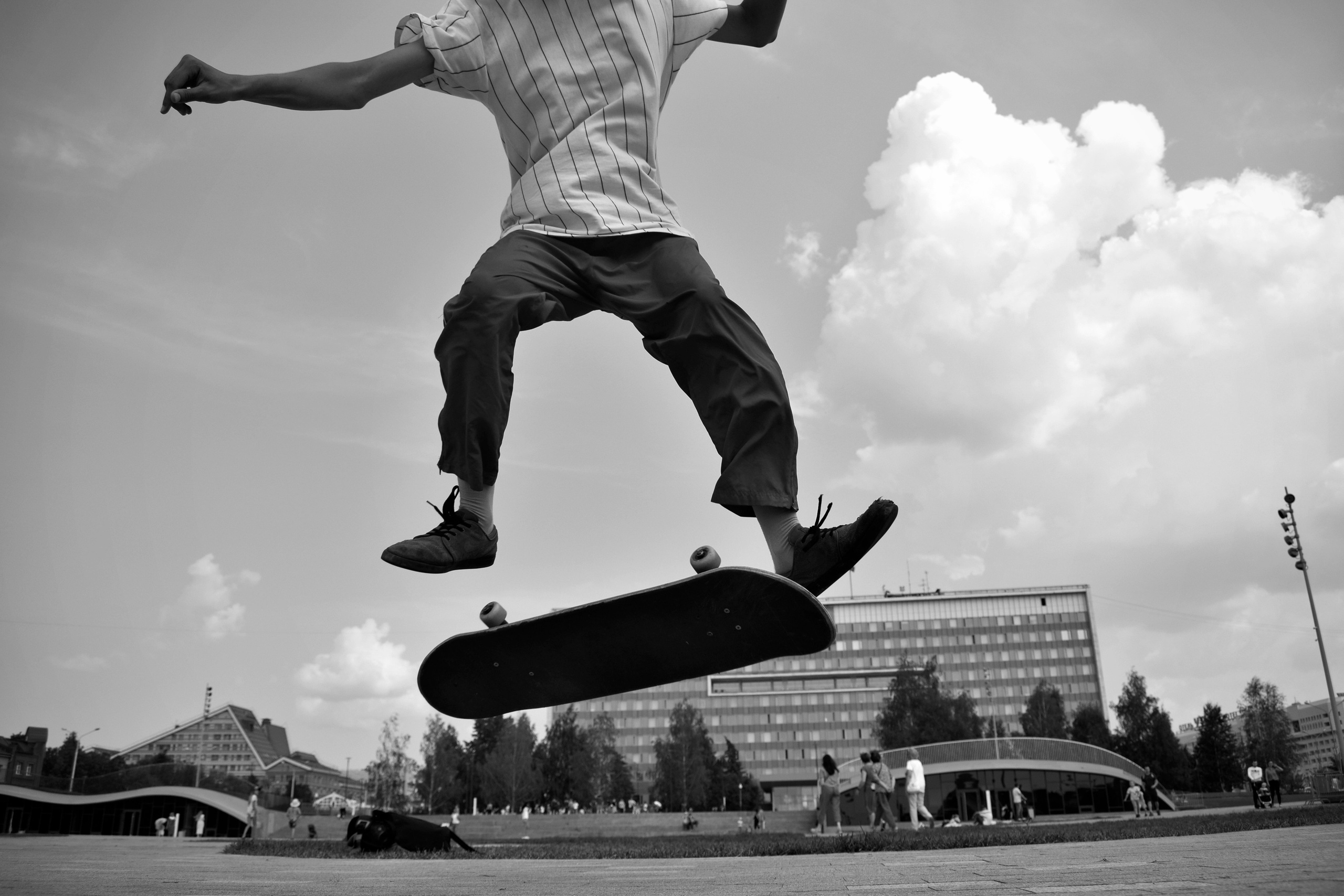 SKATEBOARD