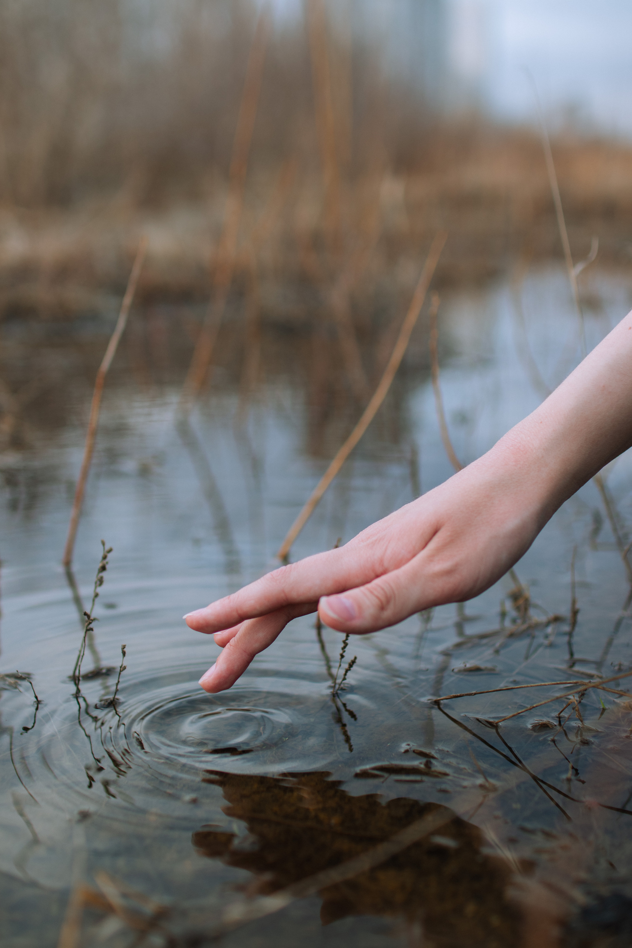 Наташа. Фотограф в Челябинске Наталья Епимахова
