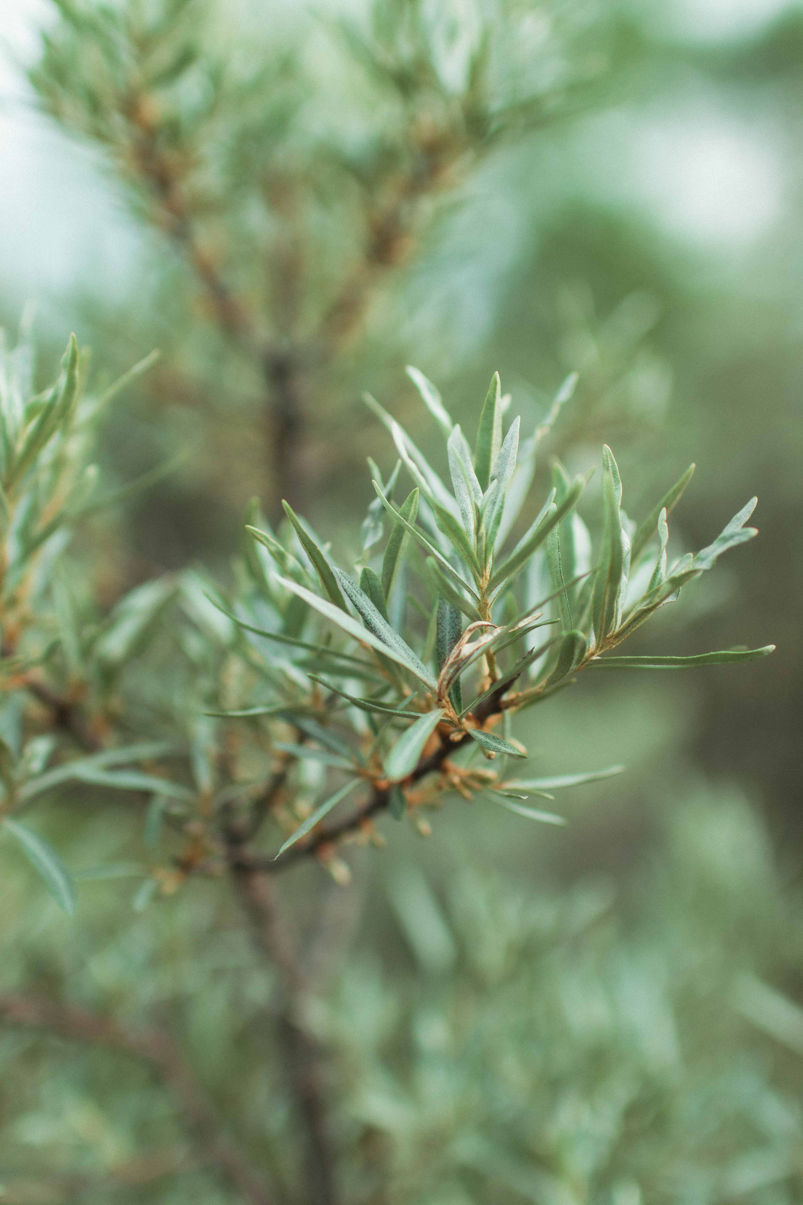 Настя. Фотограф в Челябинске Наталья Епимахова