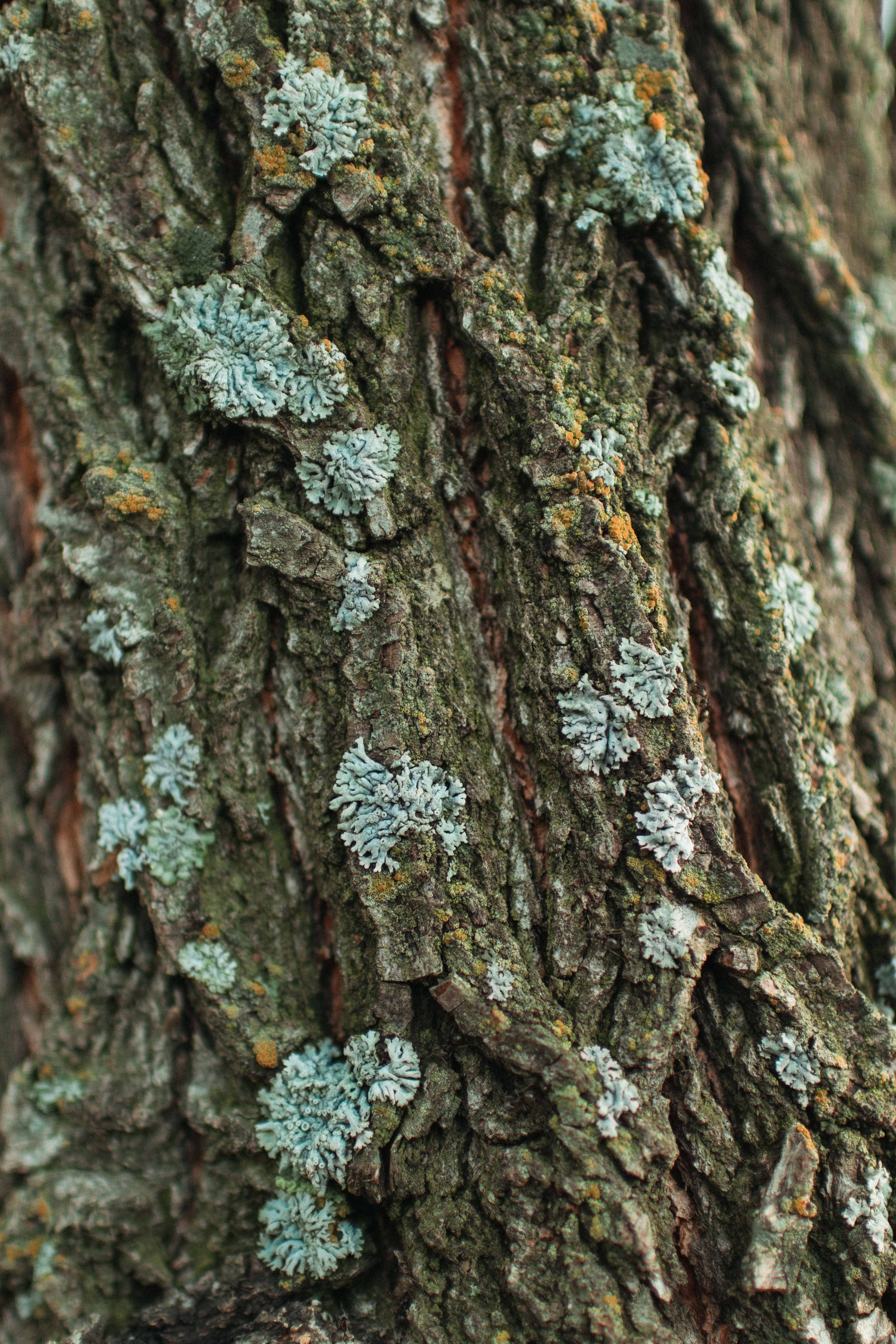 Настя. Фотограф в Челябинске Наталья Епимахова