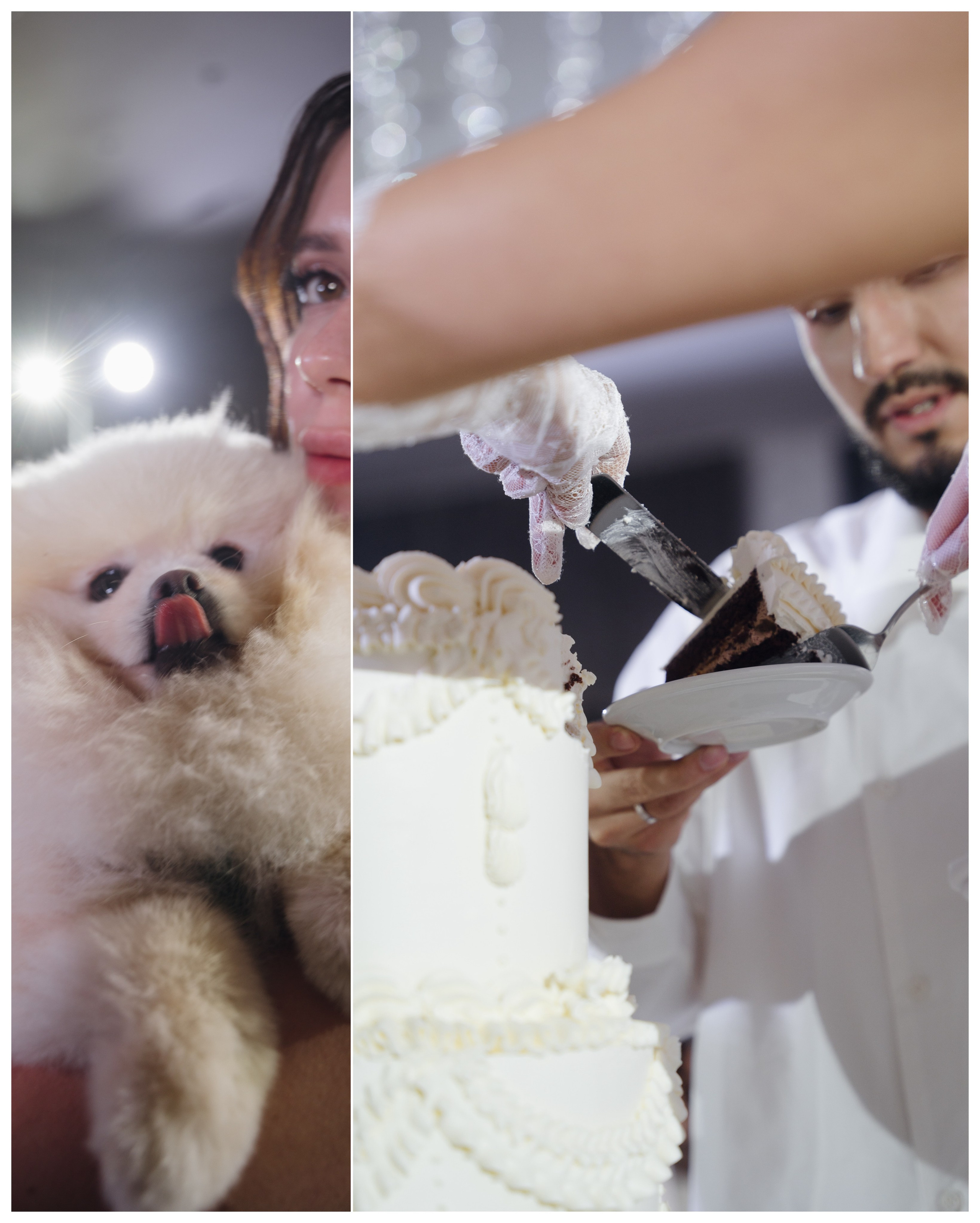 Амиль и Марина. Свадебный фотограф Решетников Дмитрий