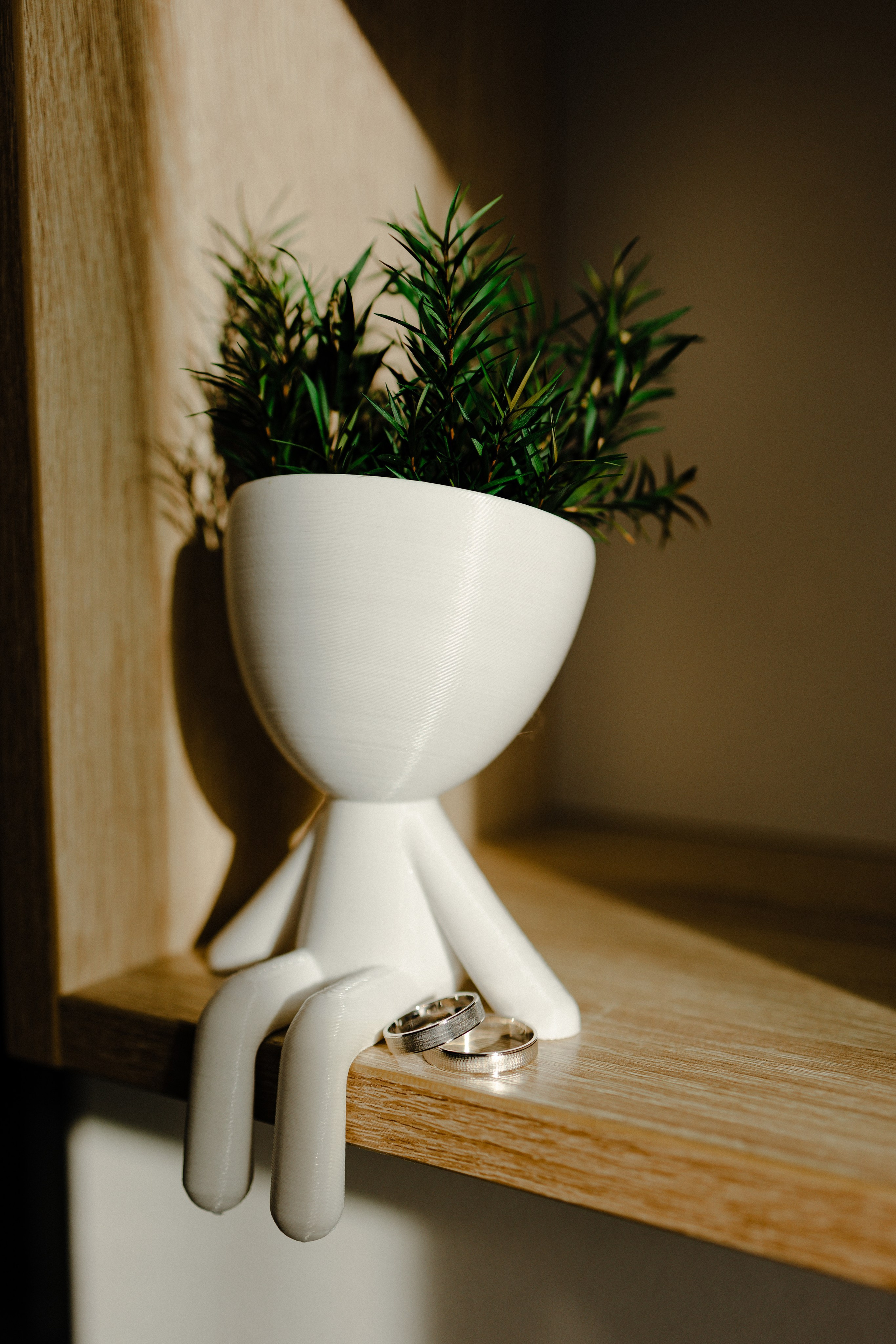 FAMILY PARTY. Фотограф Абронина Любовь | Москва