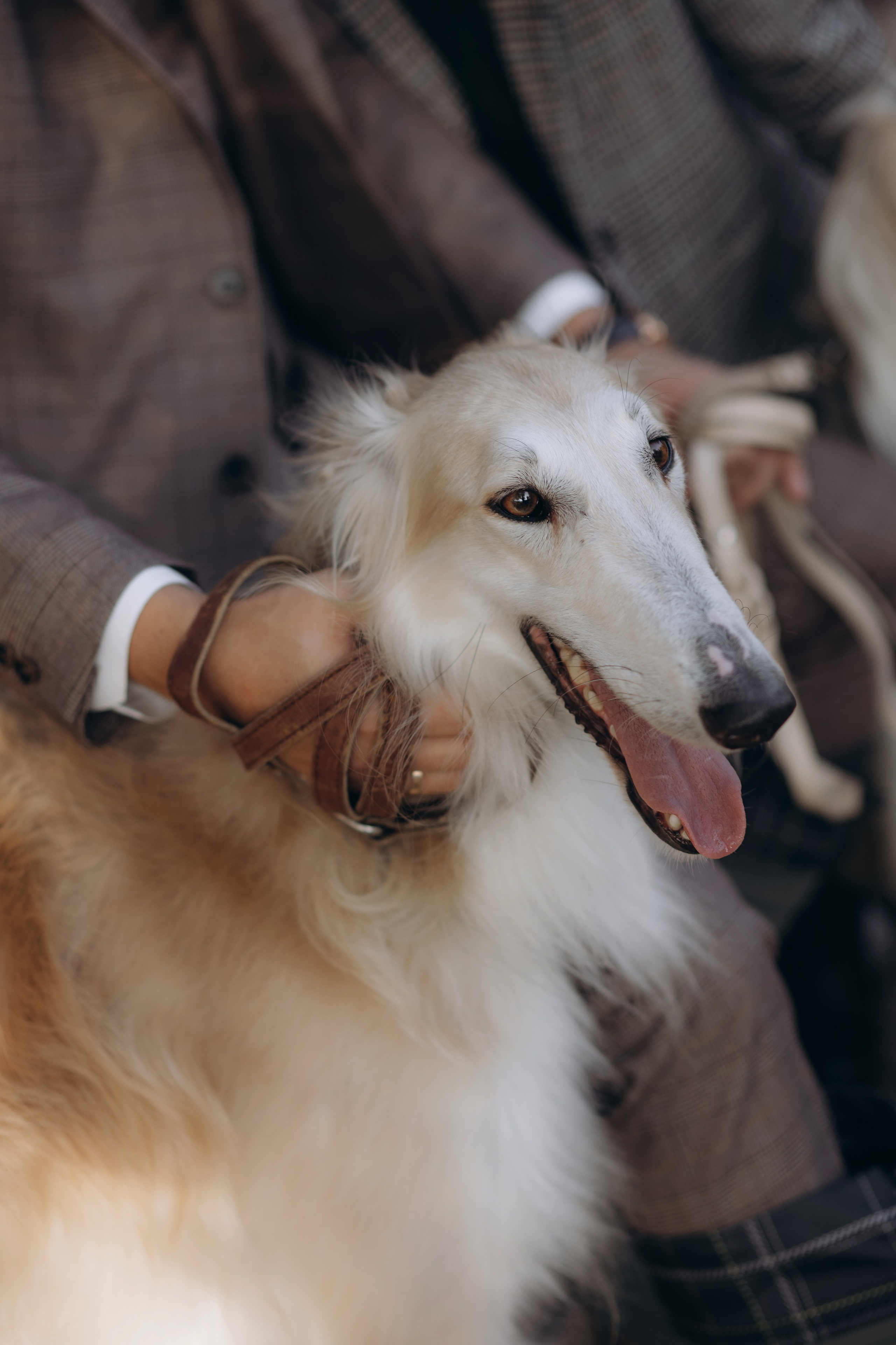 Прогулка в английском стиле. Фотограф Алина Ионычева в Новосибирске