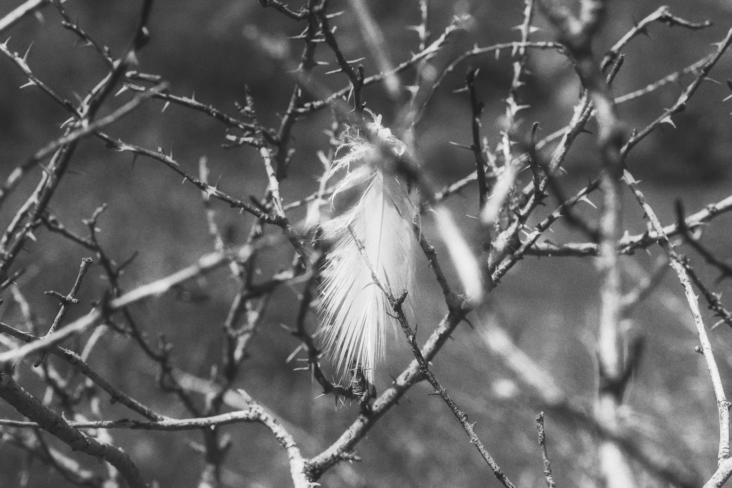 Alamedin valley / Kyrgyzstan 2024. POLINA MÔMOT