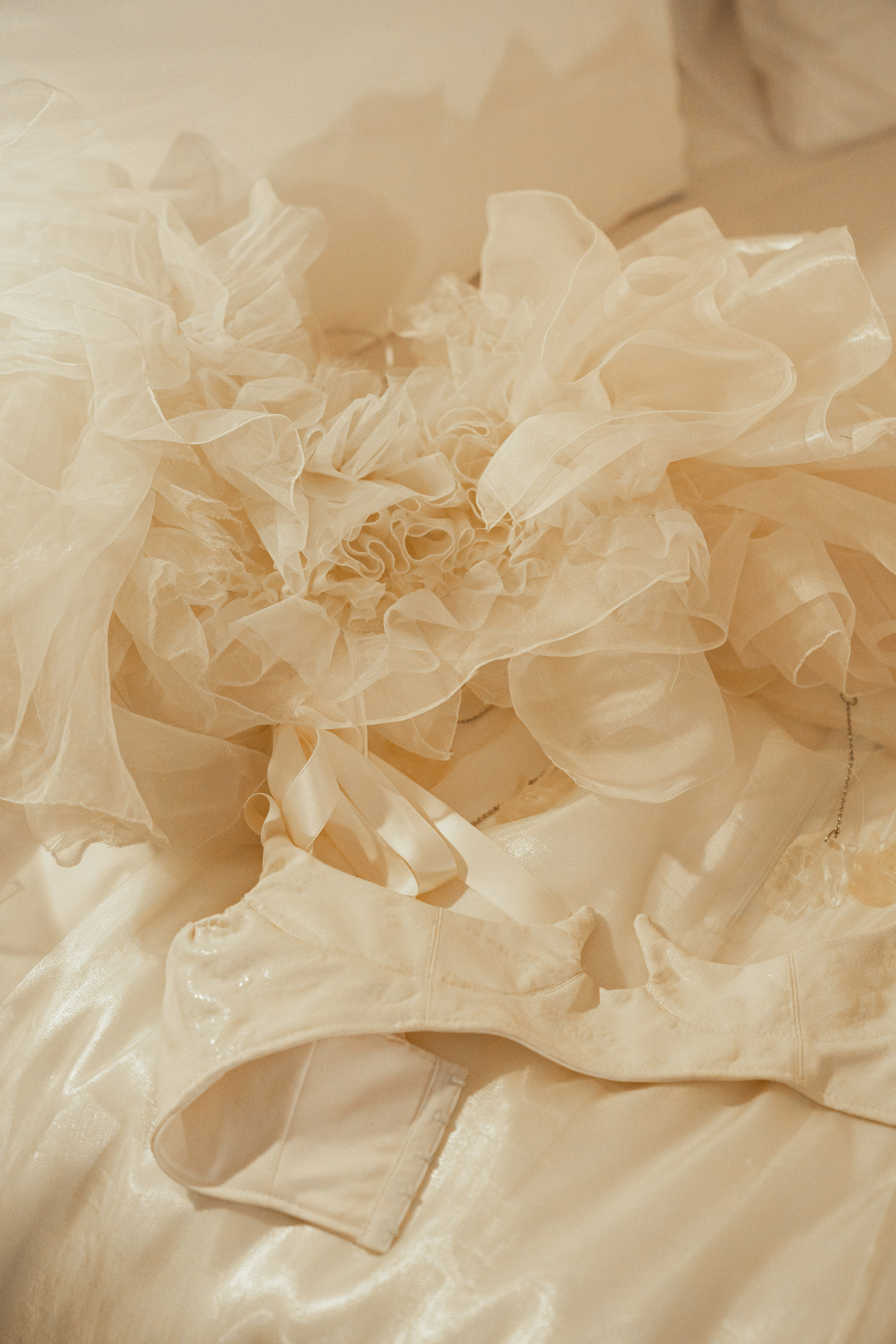 Richter. Свадебный фотограф Наташа Брифли