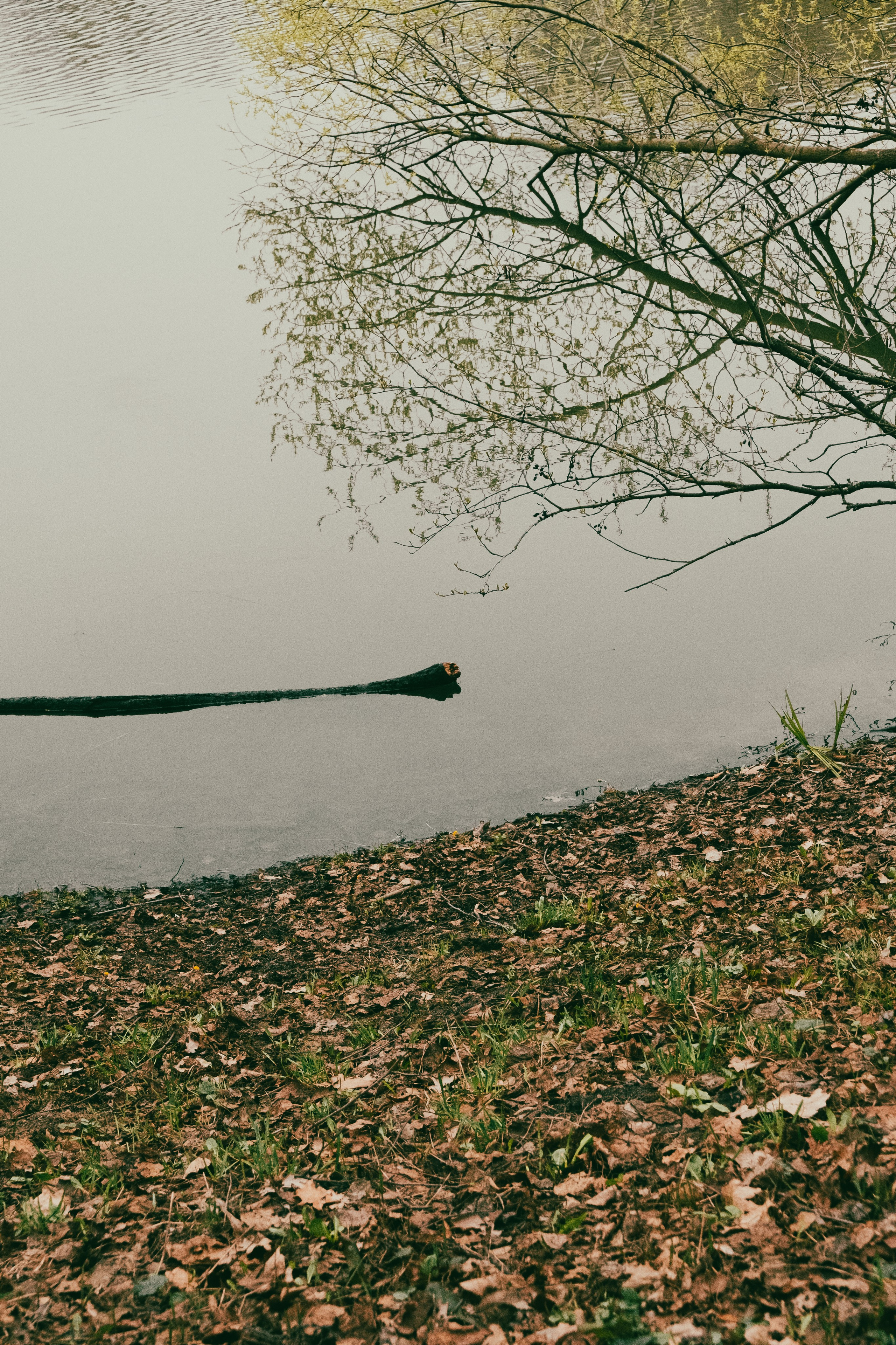 Текстуры апреля. Портретный и архитектурный фотограф в Москве и Санкт-Петербурге