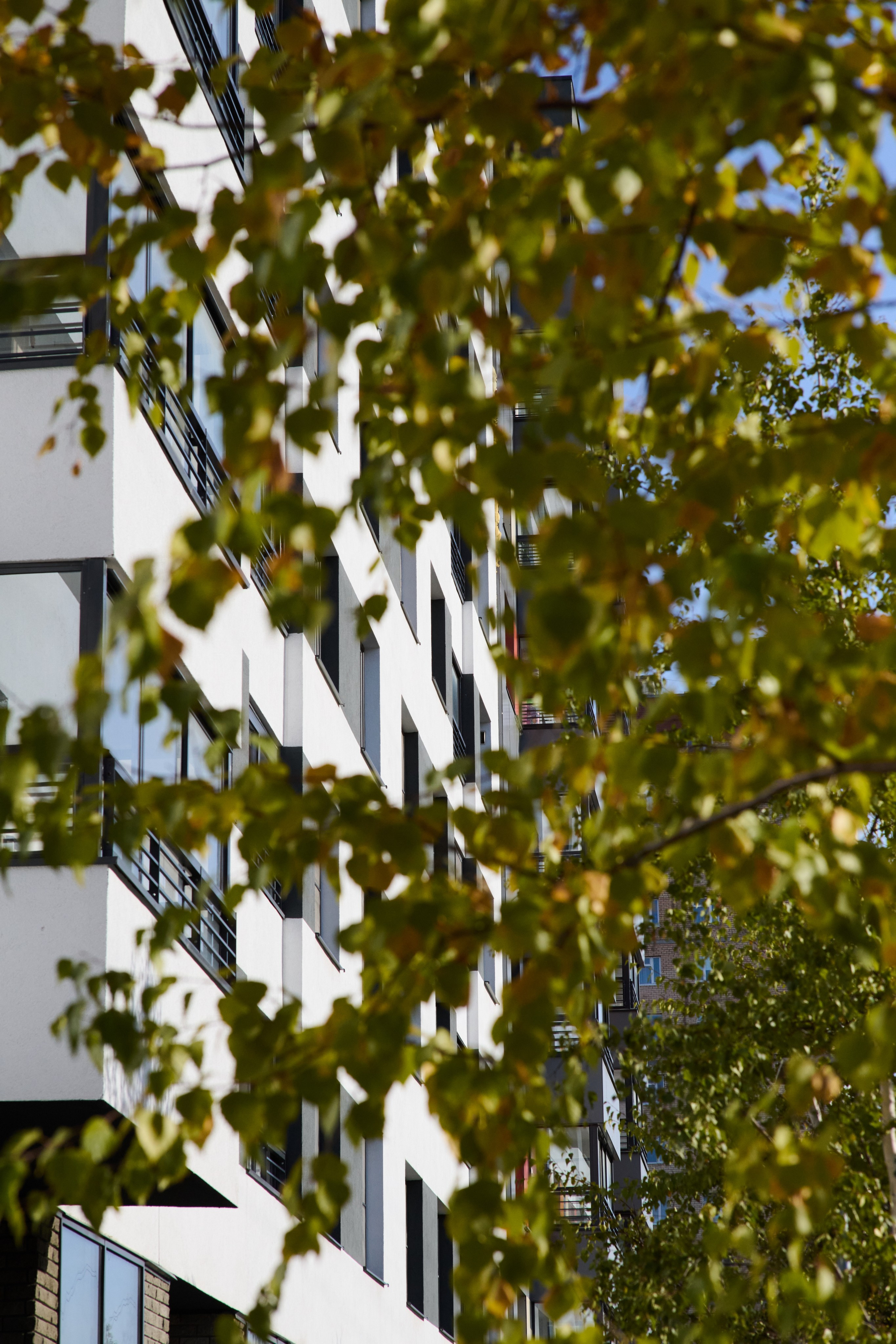 Серия фото про недвижимость. Архитектурная съемка. Репортажный и семейный фотограф — Шелихов Сергей