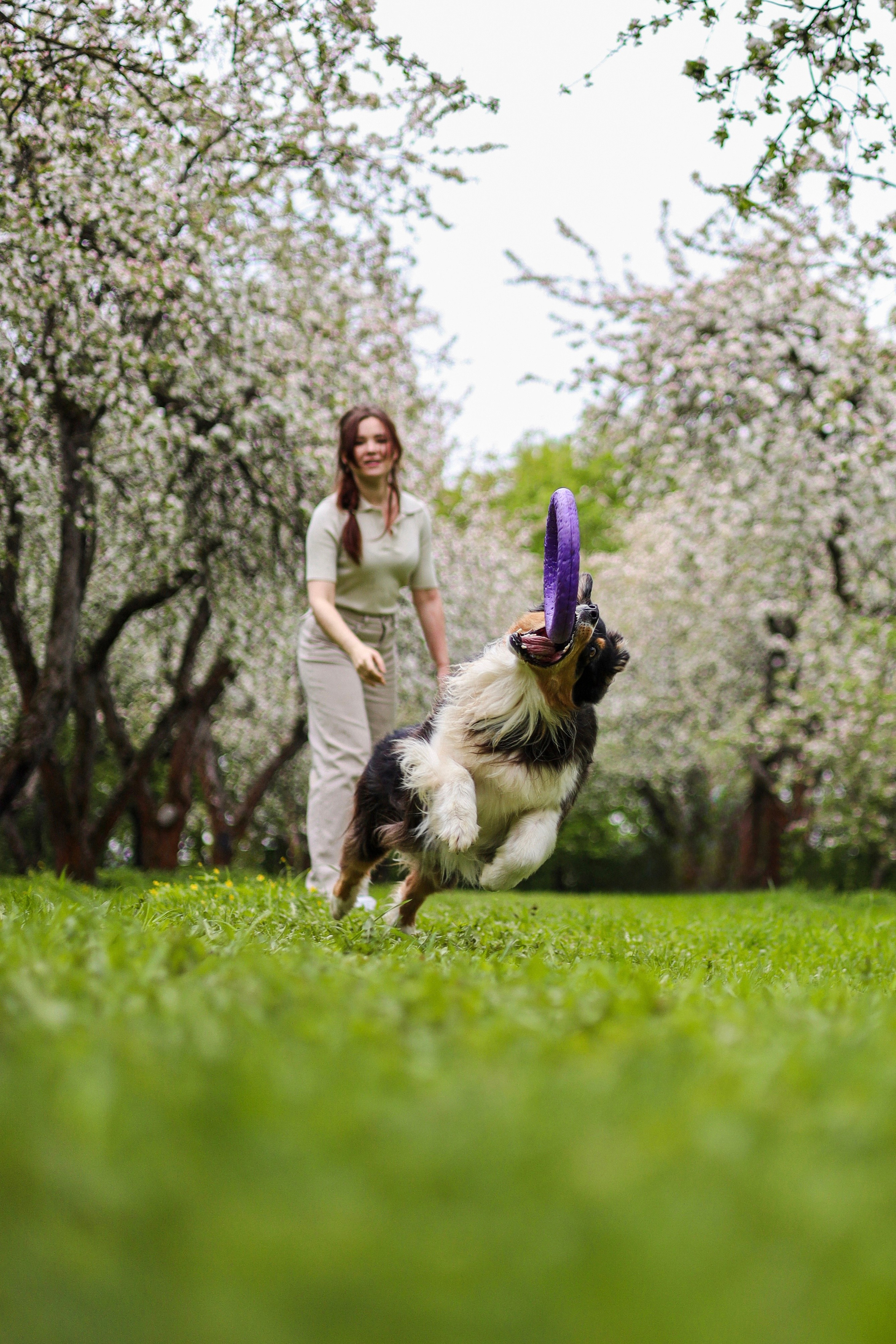 Келли и Света. Фотограф-анималист Ксения Шевцова|Москва