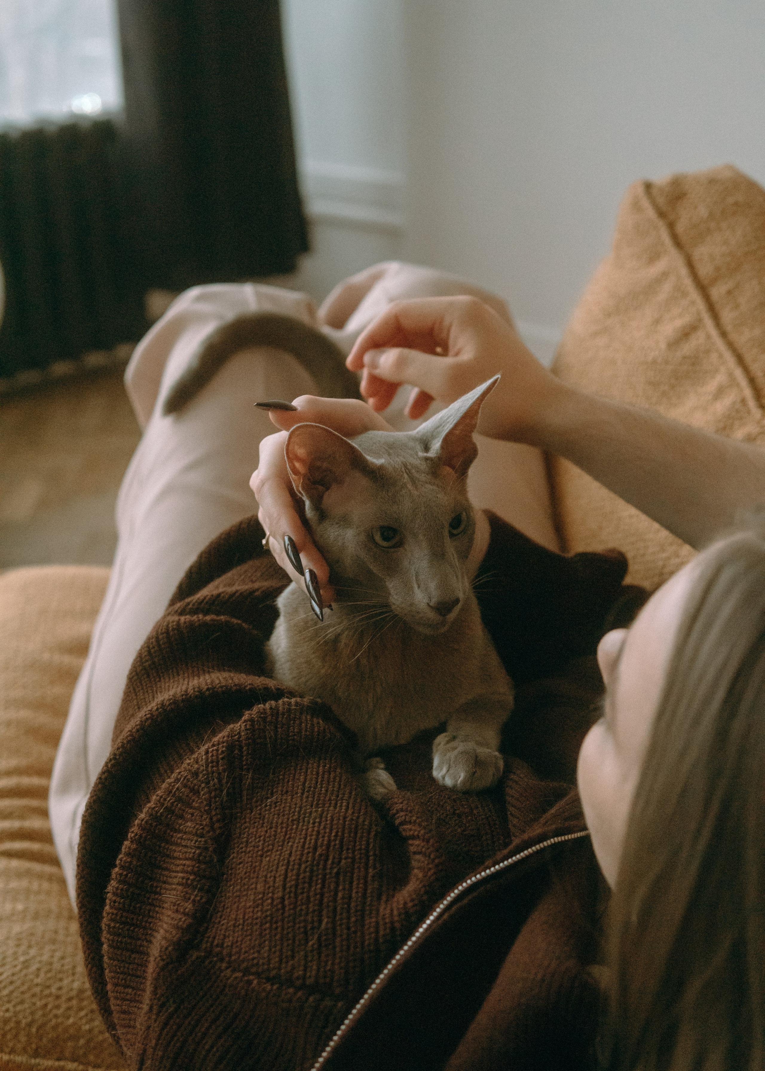 Амина, Булат и Орион. Фотограф-анималист Ксения Воробьева, Москва