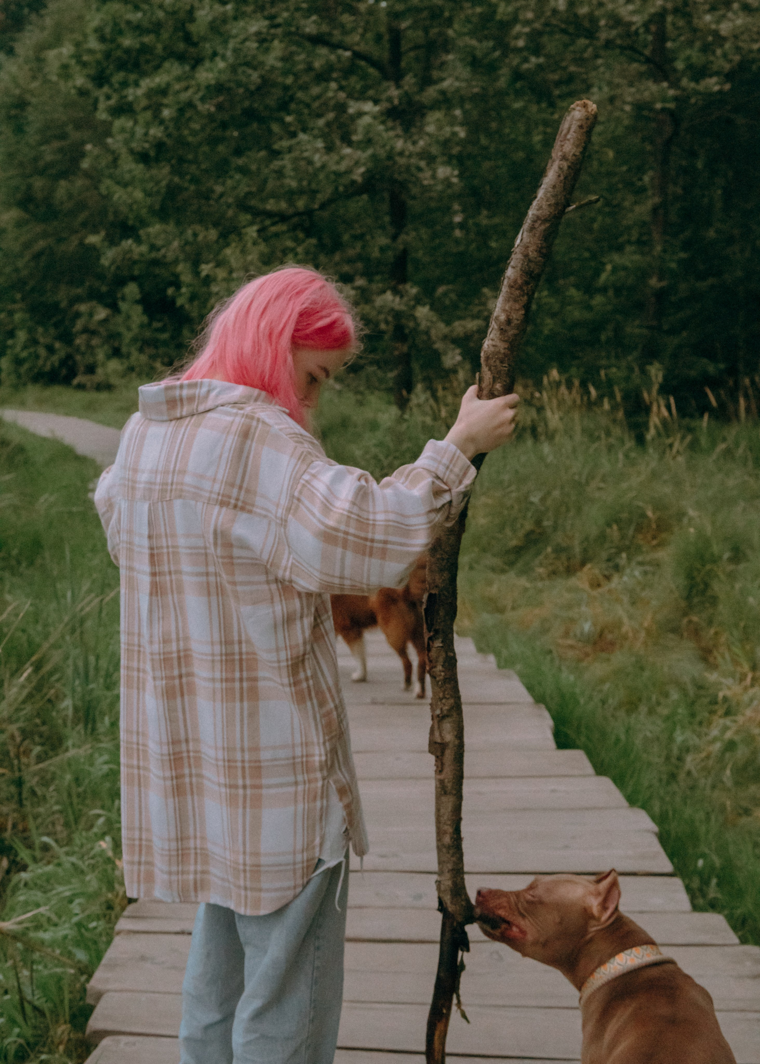 Виолетта, Лила и Питер. Фотограф-анималист Ксения Воробьева, Москва