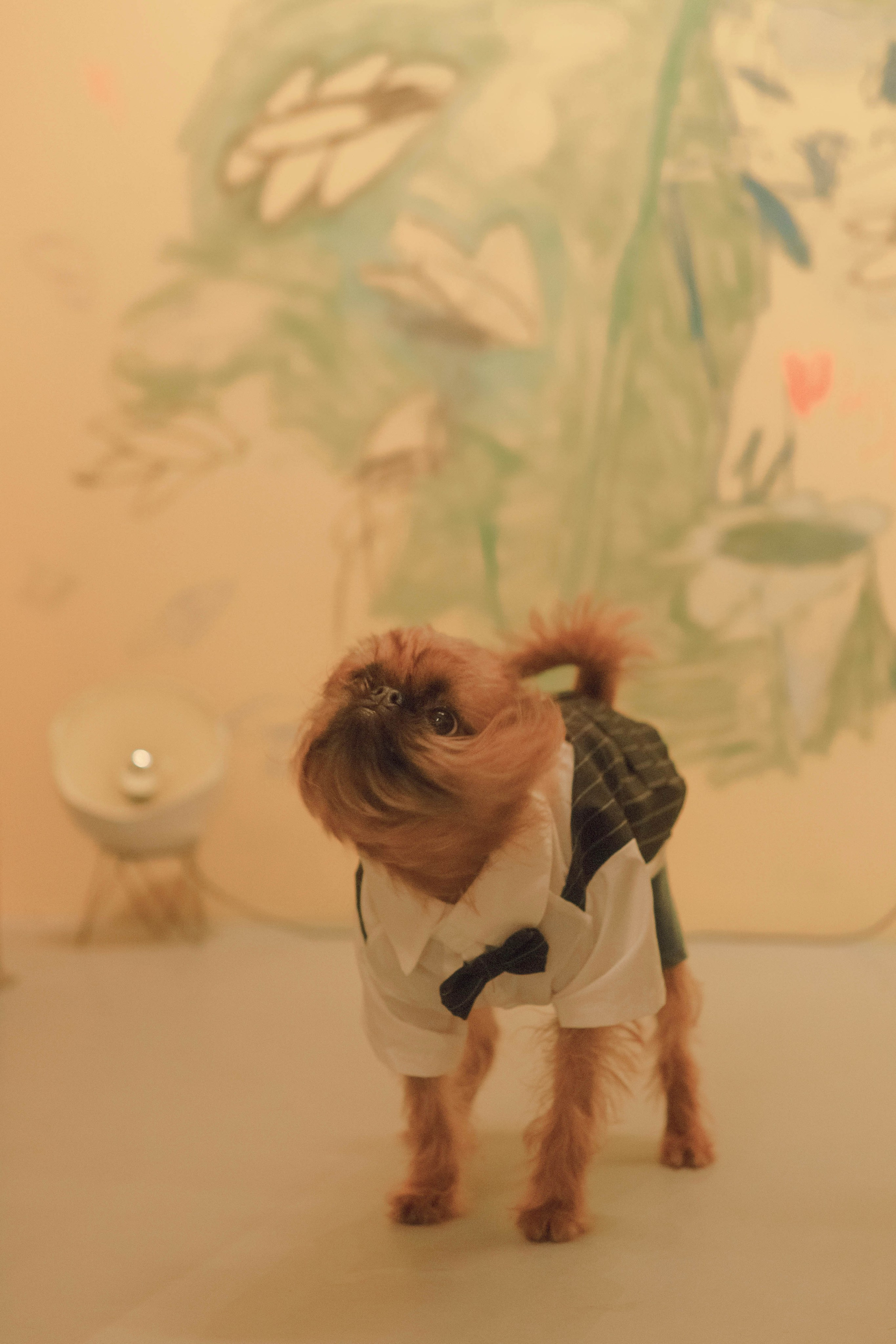 Наташа и Хавьер. Фотограф-анималист Ксения Воробьева, Москва