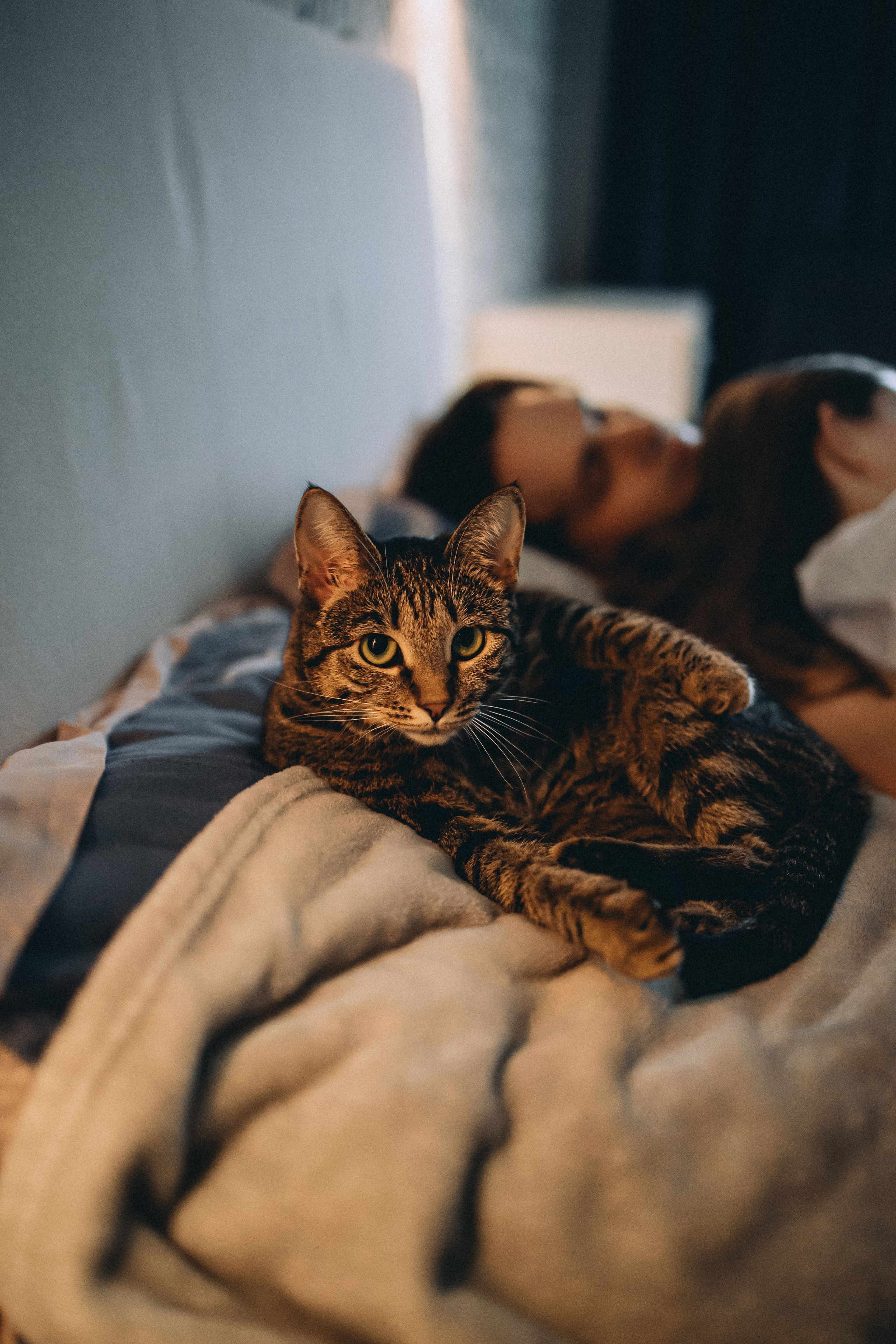 Рыся, Кепа и их семья