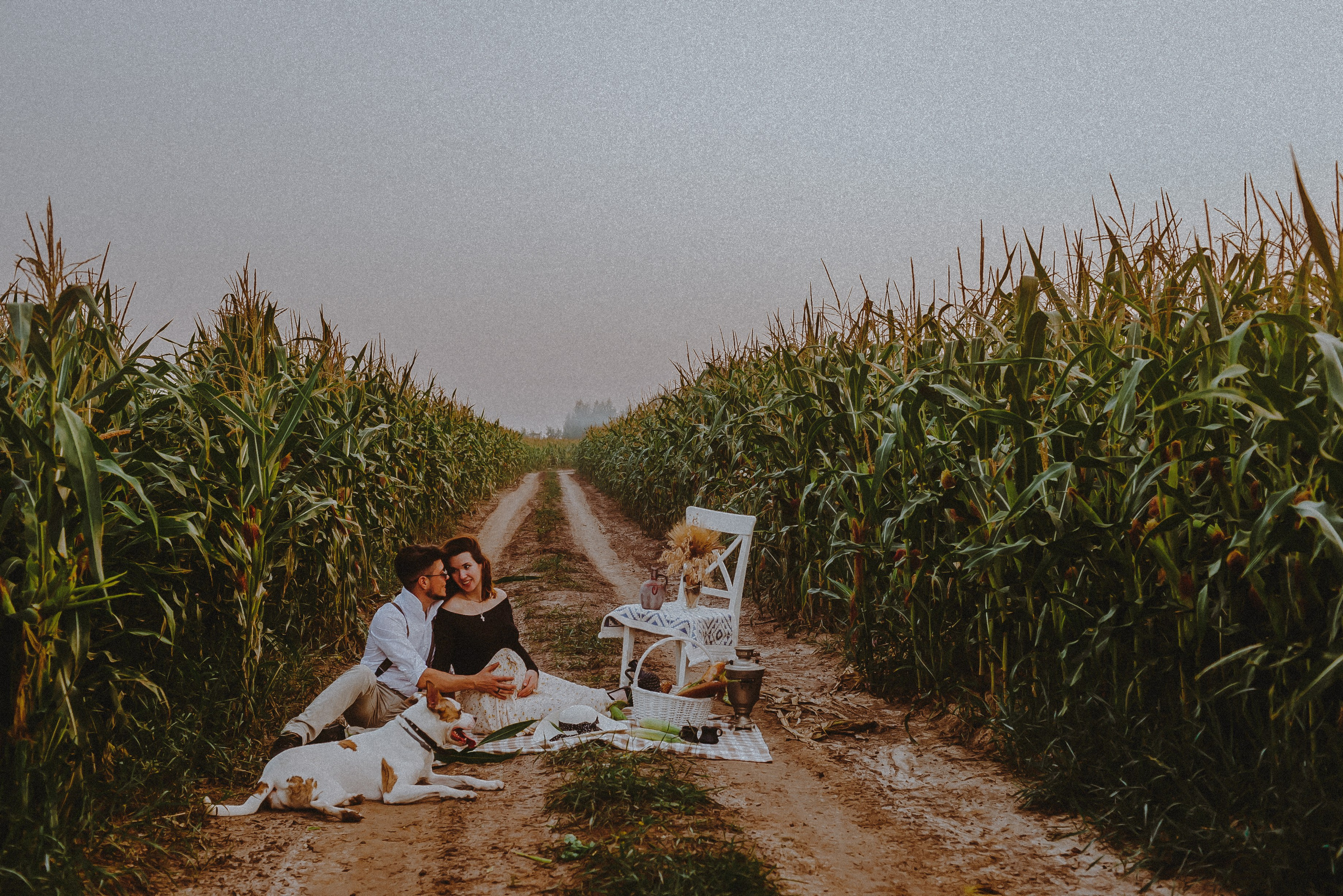 Кукуруза. Свадебный и семейный фотограф в Москве Сажина Кристина КиМ. Свадебный оператор в Москве Сажин Максим