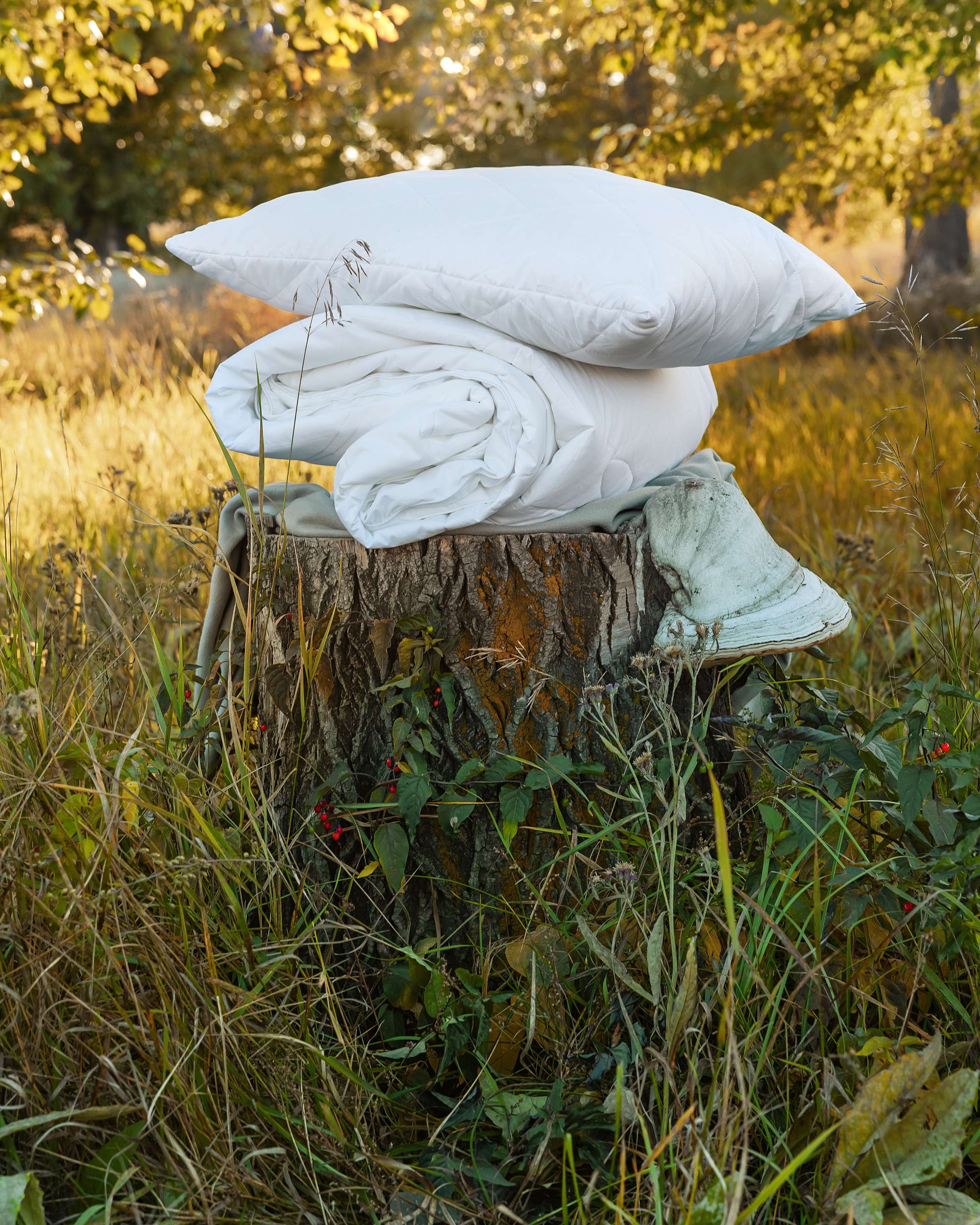 @Ormatek_ulanude. Фотограф и видеограф в Улан-Удэ: Аюна Габагуева и Артём Шаханов