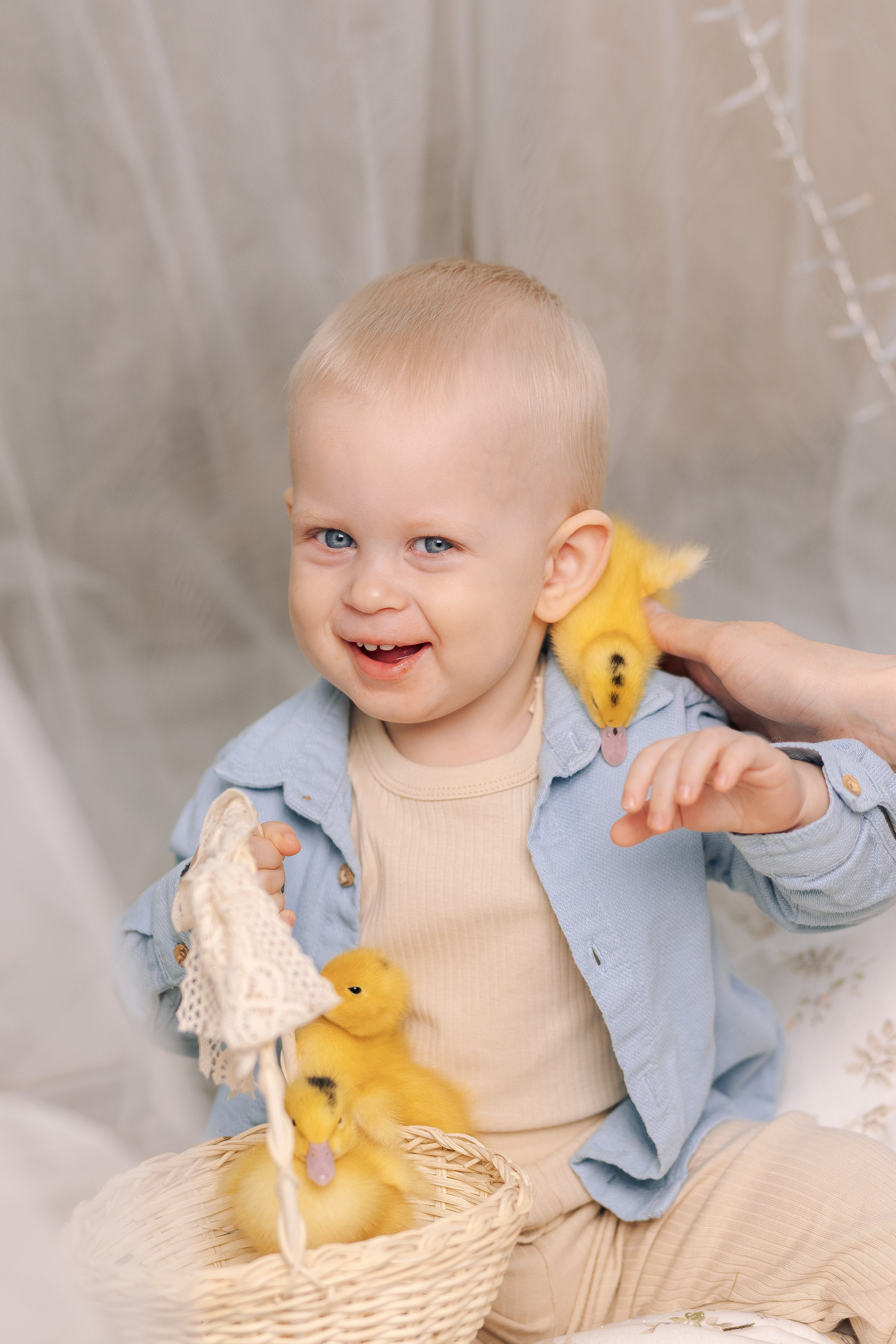 Пасхальная фотосессия с утятами спб. Фотограф в Санкт-Петербурге, Анна Скворцова