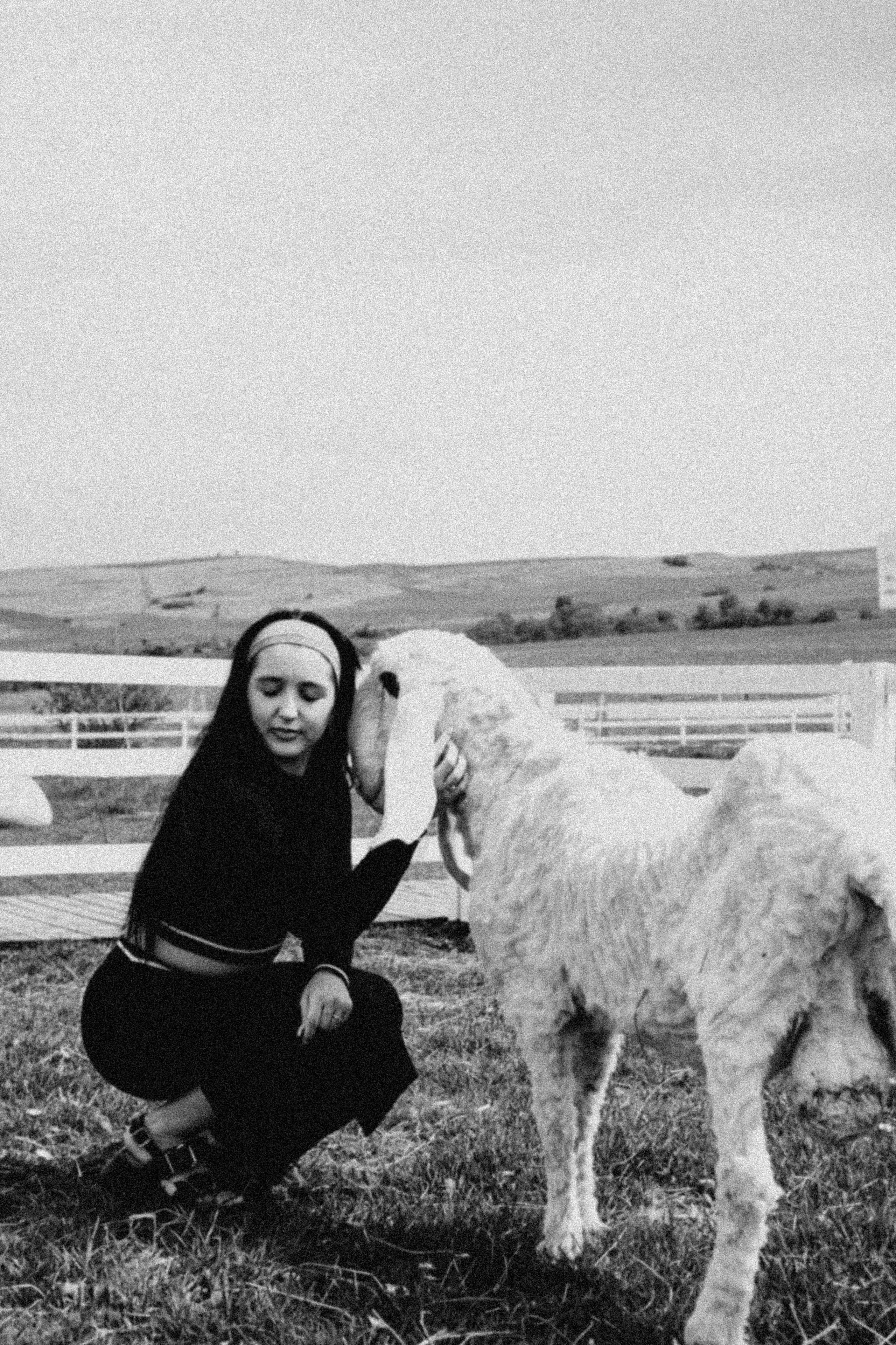 Ферма Альпак. Профессиональный фотограф, Санкт-Петербург — Виктория Богомолова