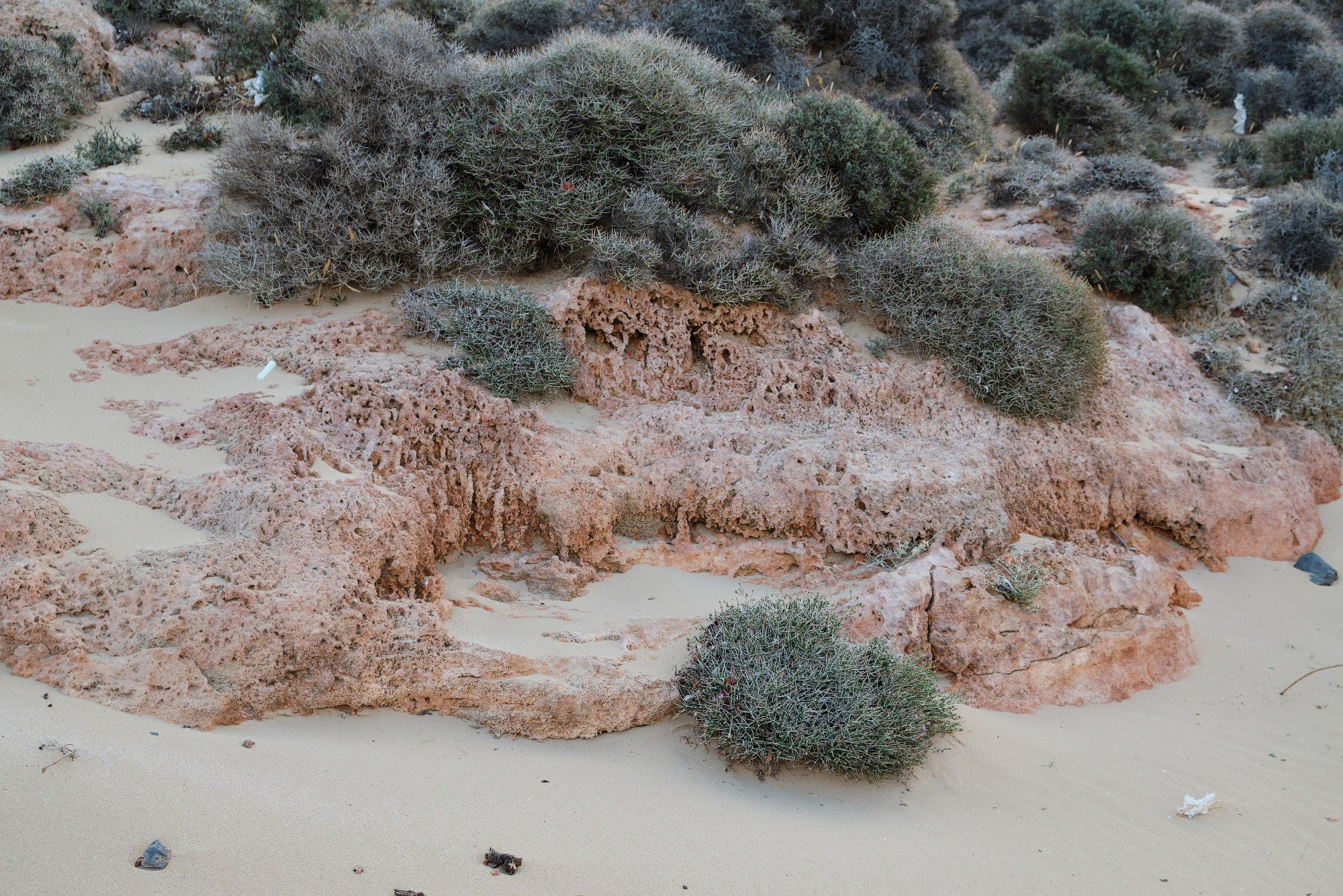 Крит 2019. Репортажный фотограф Дмитрий Литвинский. Минск, Беларусь, мир