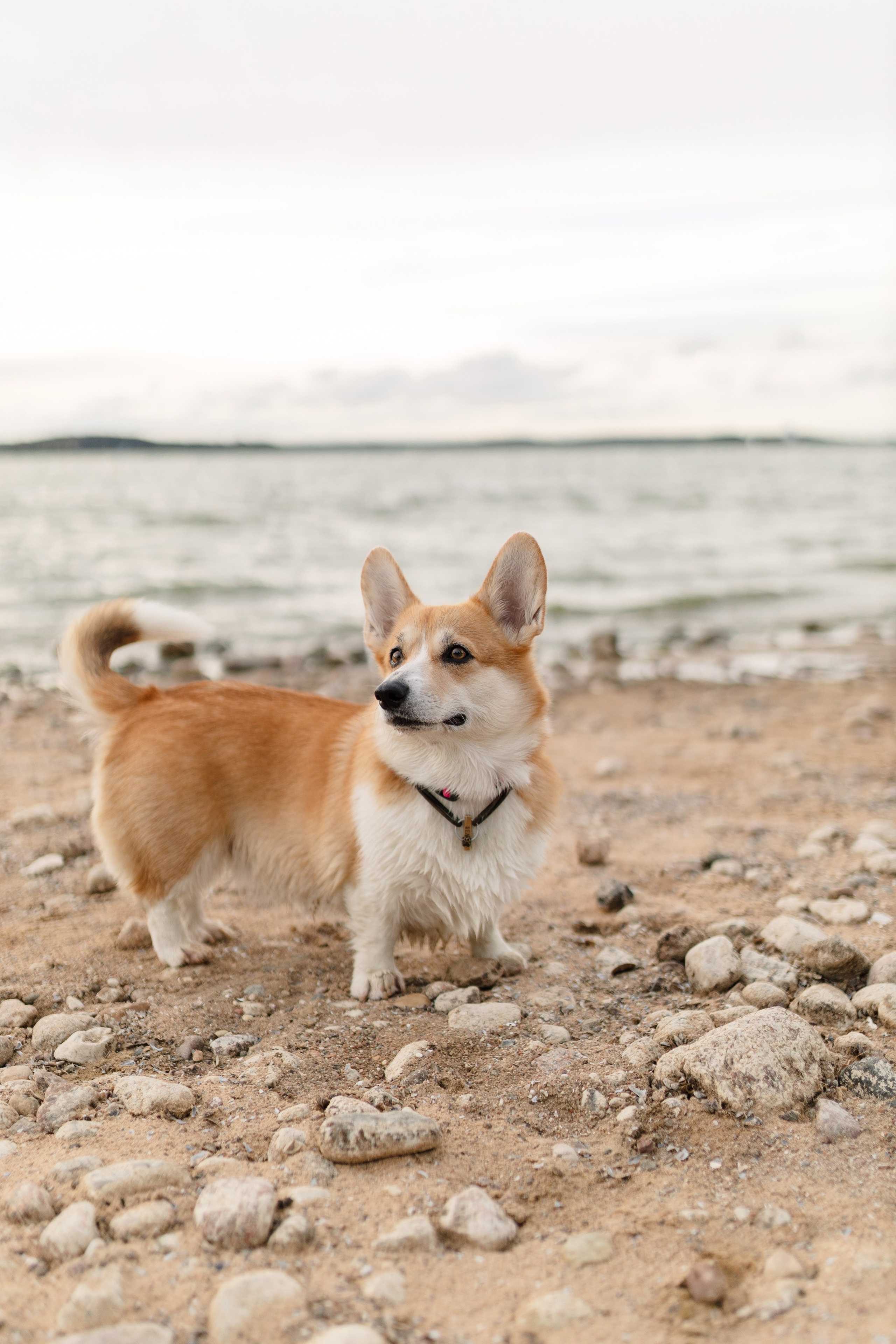 МОРЕ. Cheta Kovalevsky фотографы