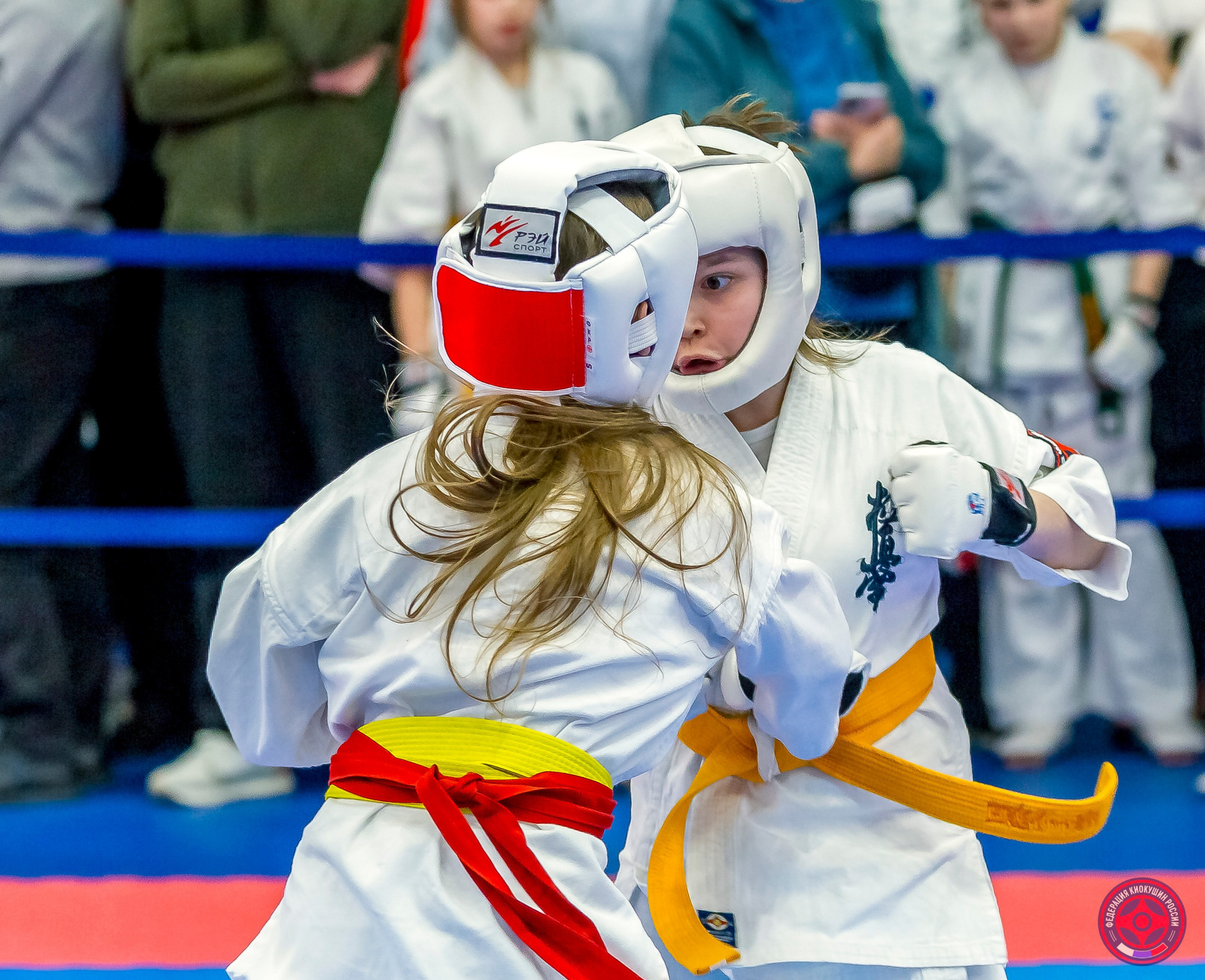 Международный турнир по киокушин «Открытый кубок Seiken». Репортажная съемка в Москве и области. Анималистика