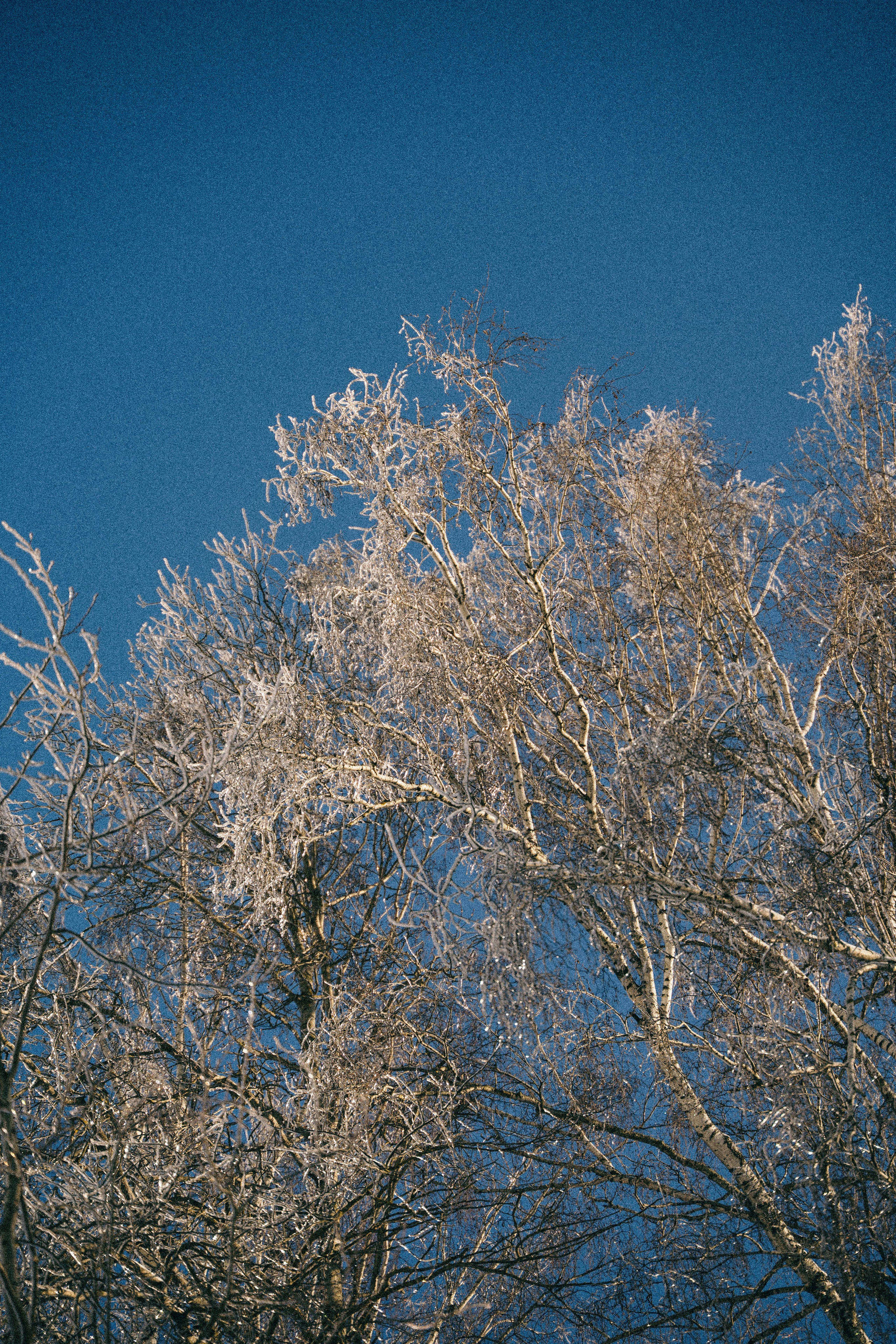 Дома классно!. Главная