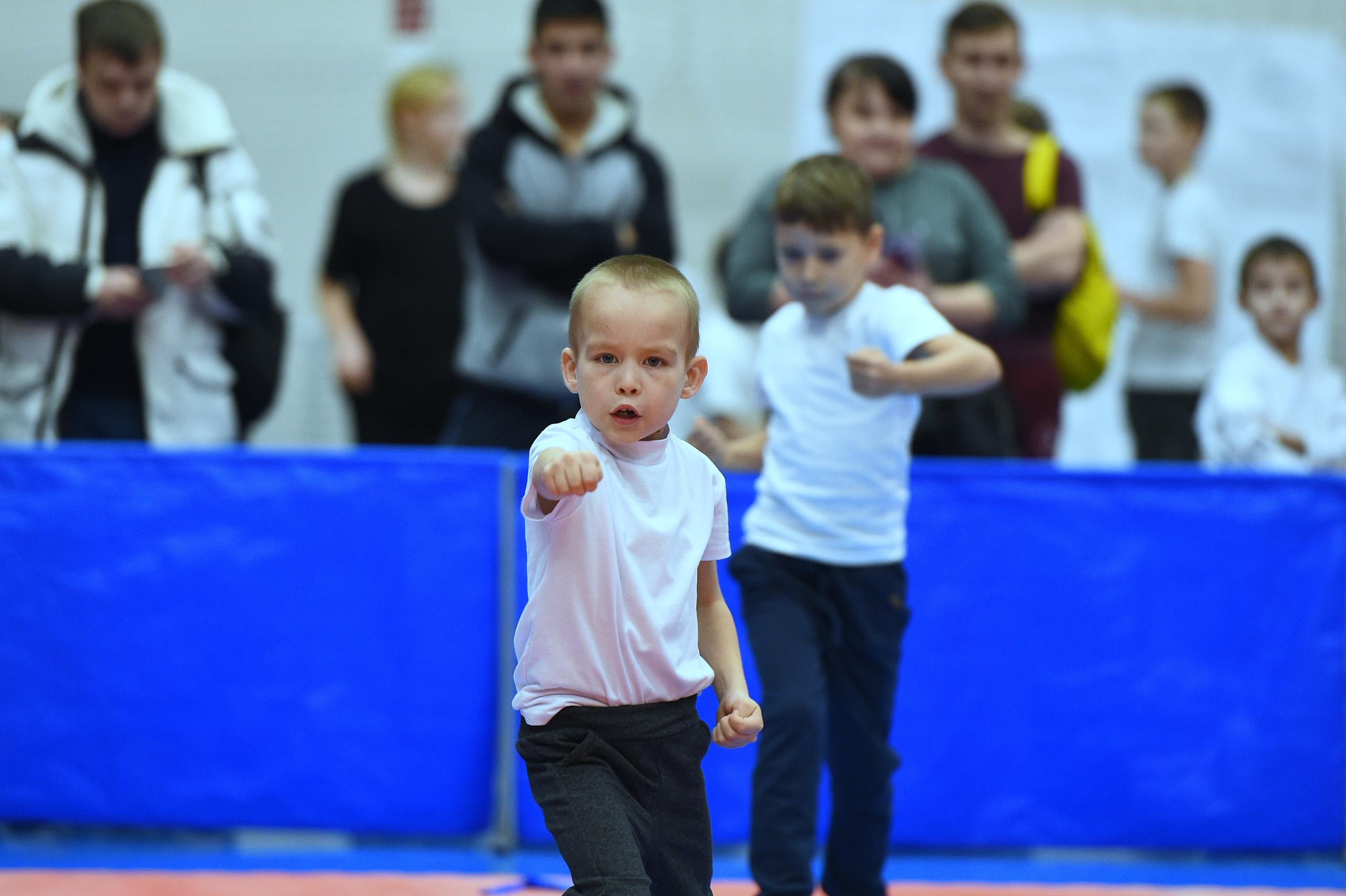Тхэквондо. Новогодний турнир 2023. Спортивный репортажный фотограф в Ижевске Сергей Мерзляков